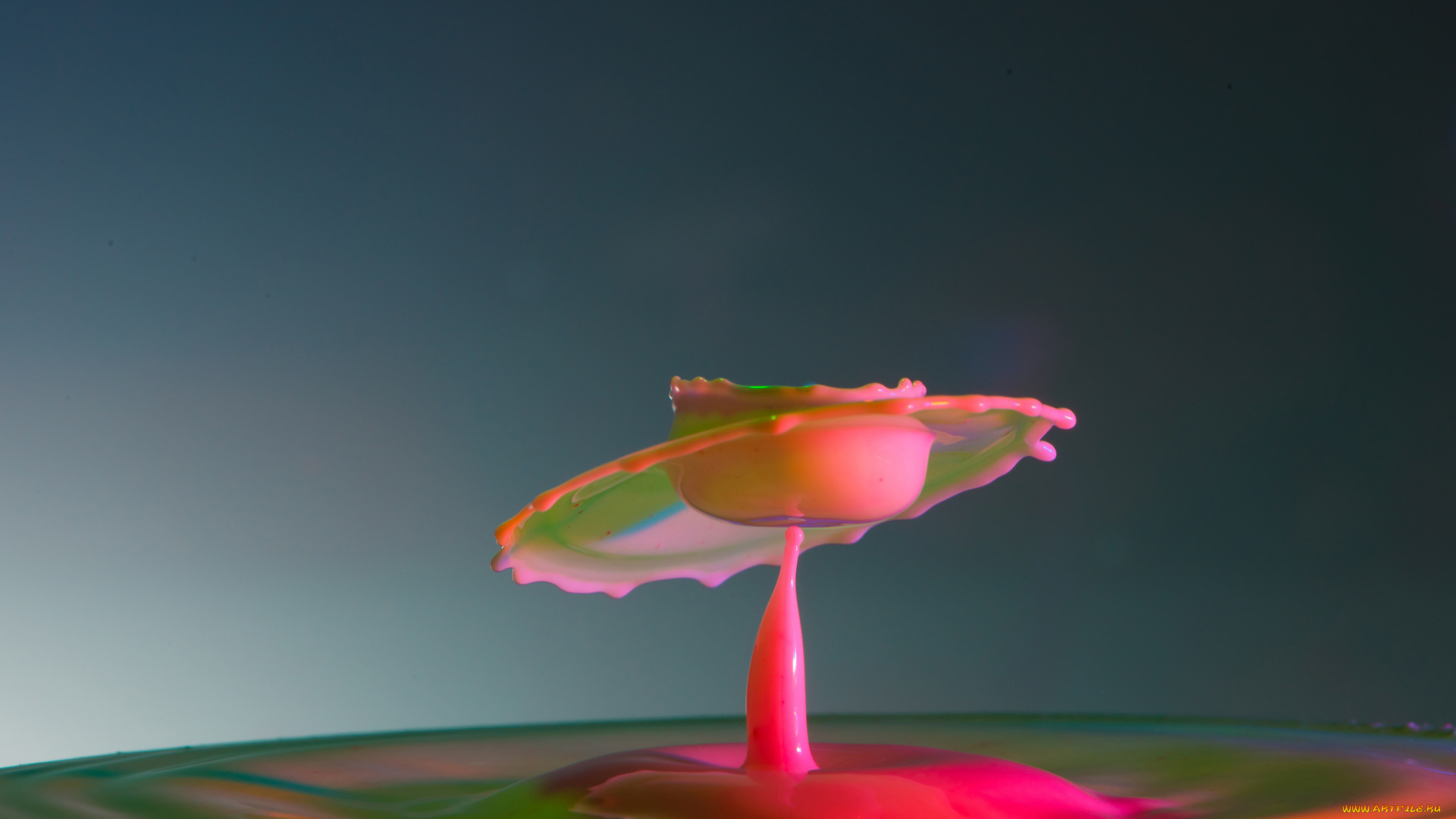 разное, капли, , брызги, , всплески, брызги, цвет, краски, жидкость, всплеск