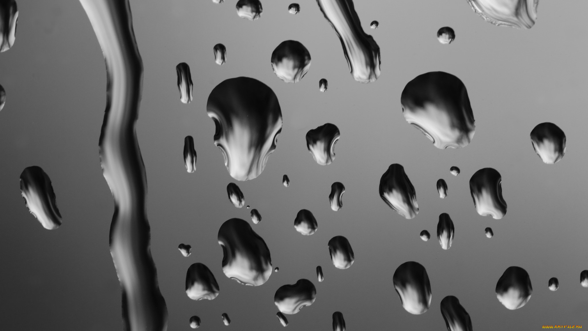 разное, капли, , брызги, , всплески, чёрно-белое, фото, макро