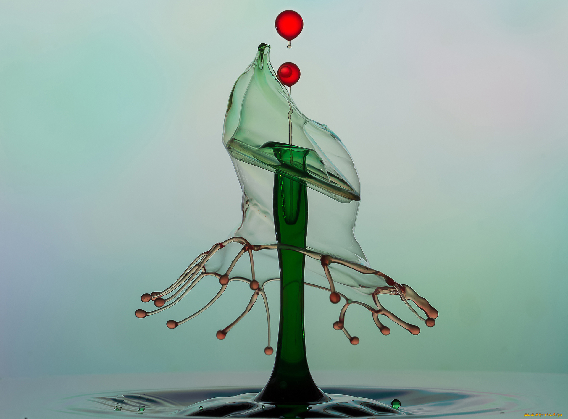 разное, капли, , брызги, , всплески, брызги, всплеск, вода, жидкость, цвет, капля