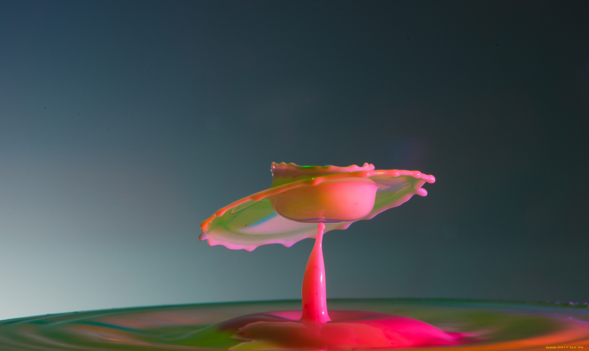 разное, капли, , брызги, , всплески, брызги, цвет, краски, жидкость, всплеск