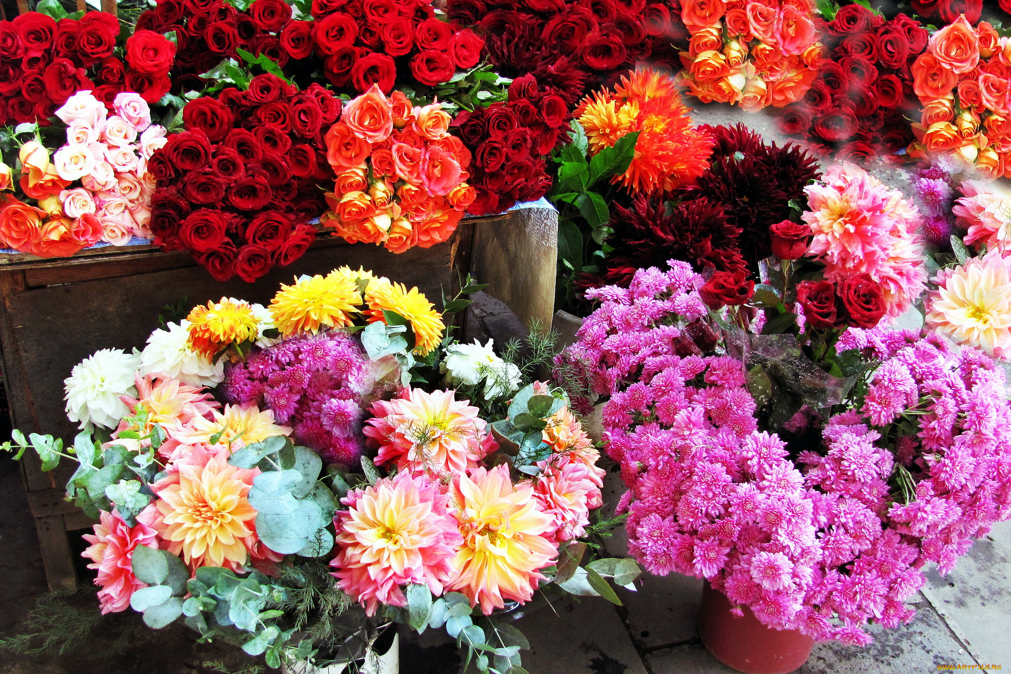 цветы, букеты, , композиции, розы, букет, георгины, хризантемы