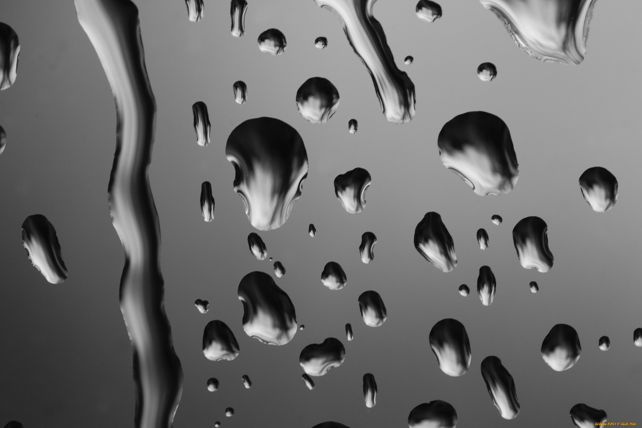 разное, капли, , брызги, , всплески, чёрно-белое, фото, макро