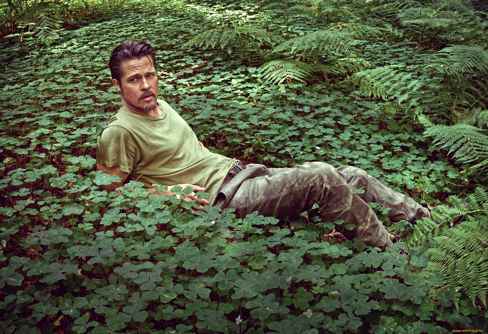 мужчины, brad, pitt, brad, pitt, брэд, питт, актер, мужчина, зелень, листья, природа