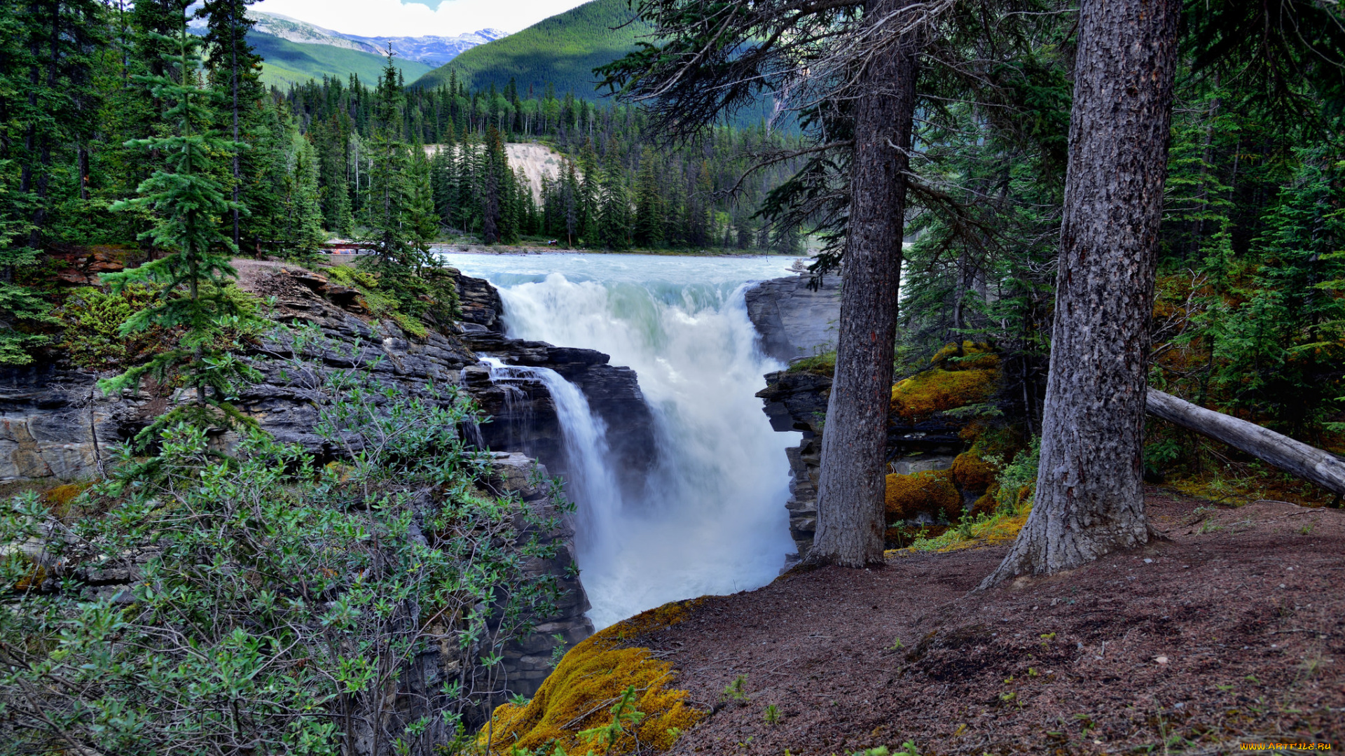 природа, водопады, река, лес, водопад