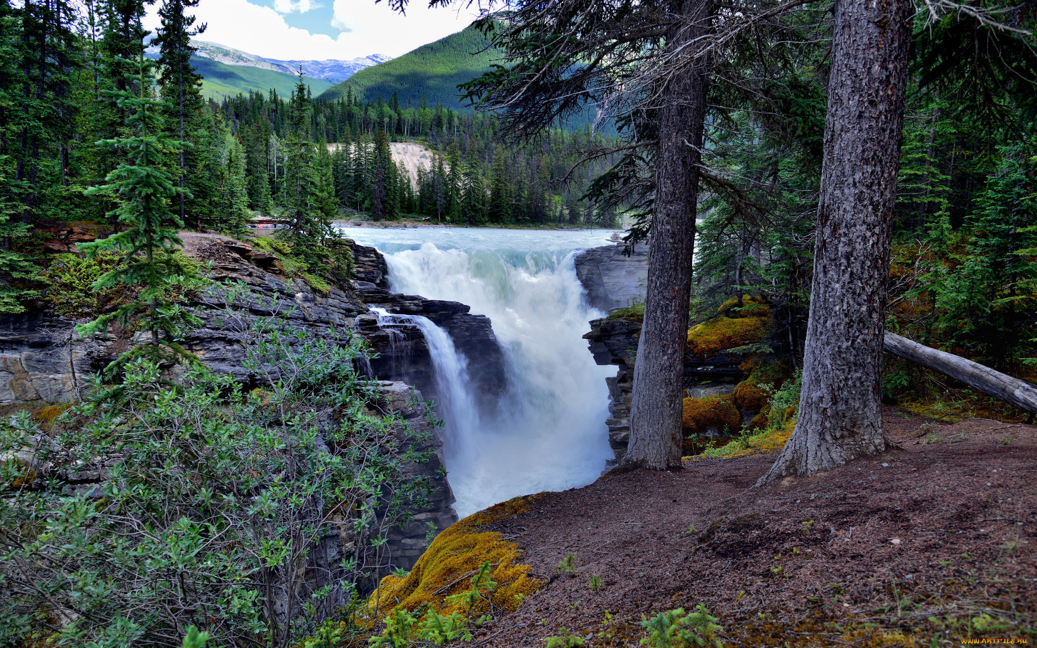 природа, водопады, река, лес, водопад