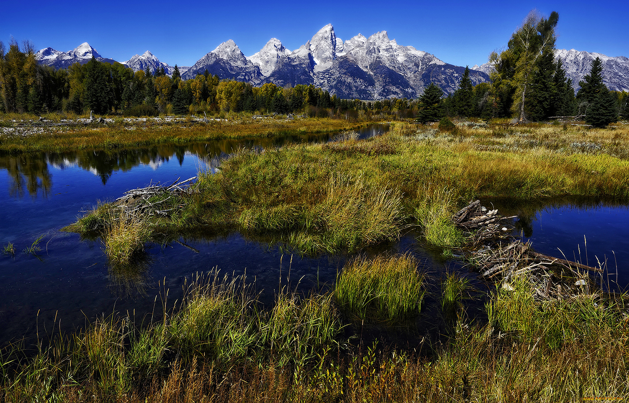 природа, реки, озера, горы, лес, река