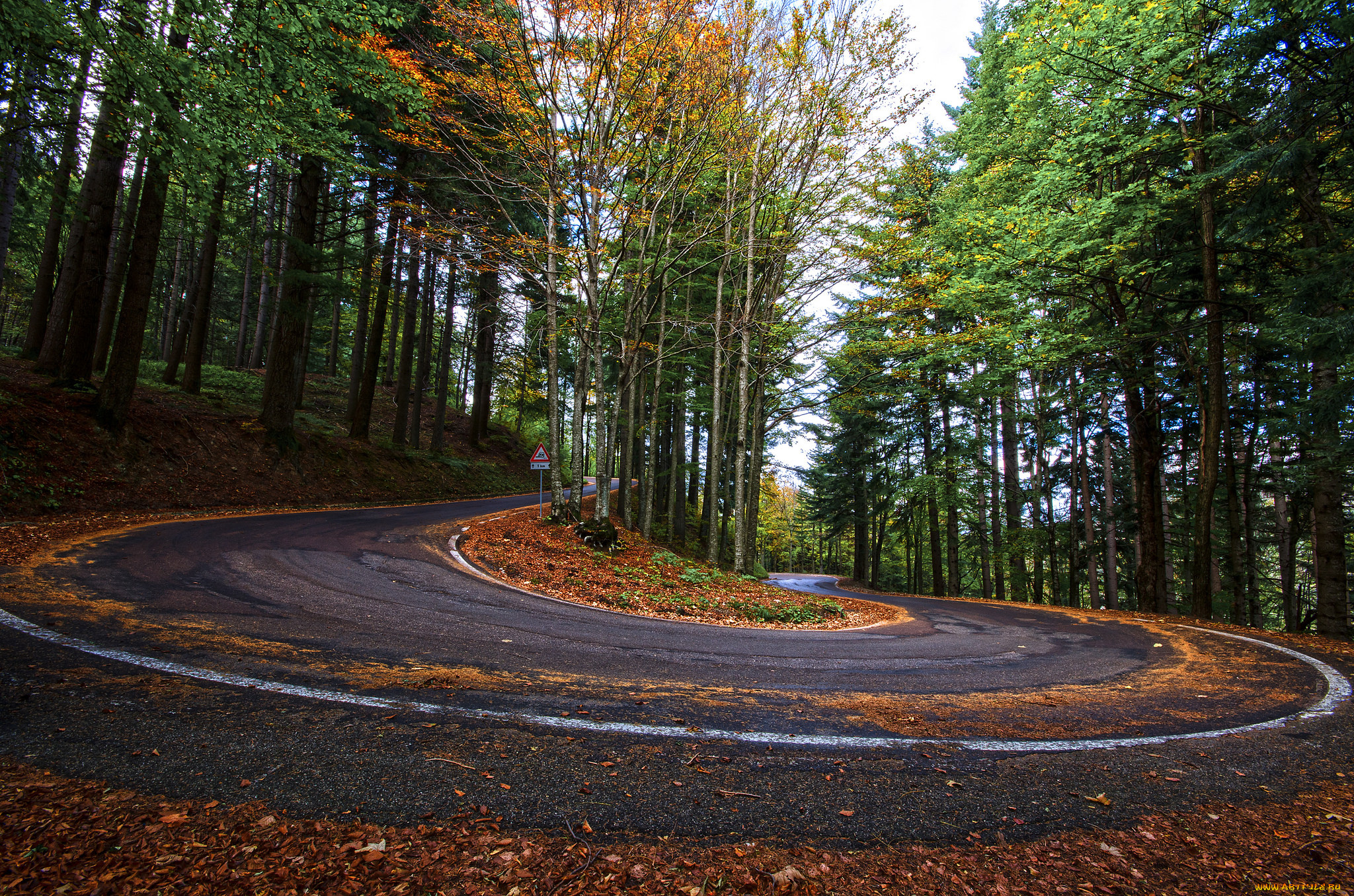природа, дороги, шоссе, лес, осень