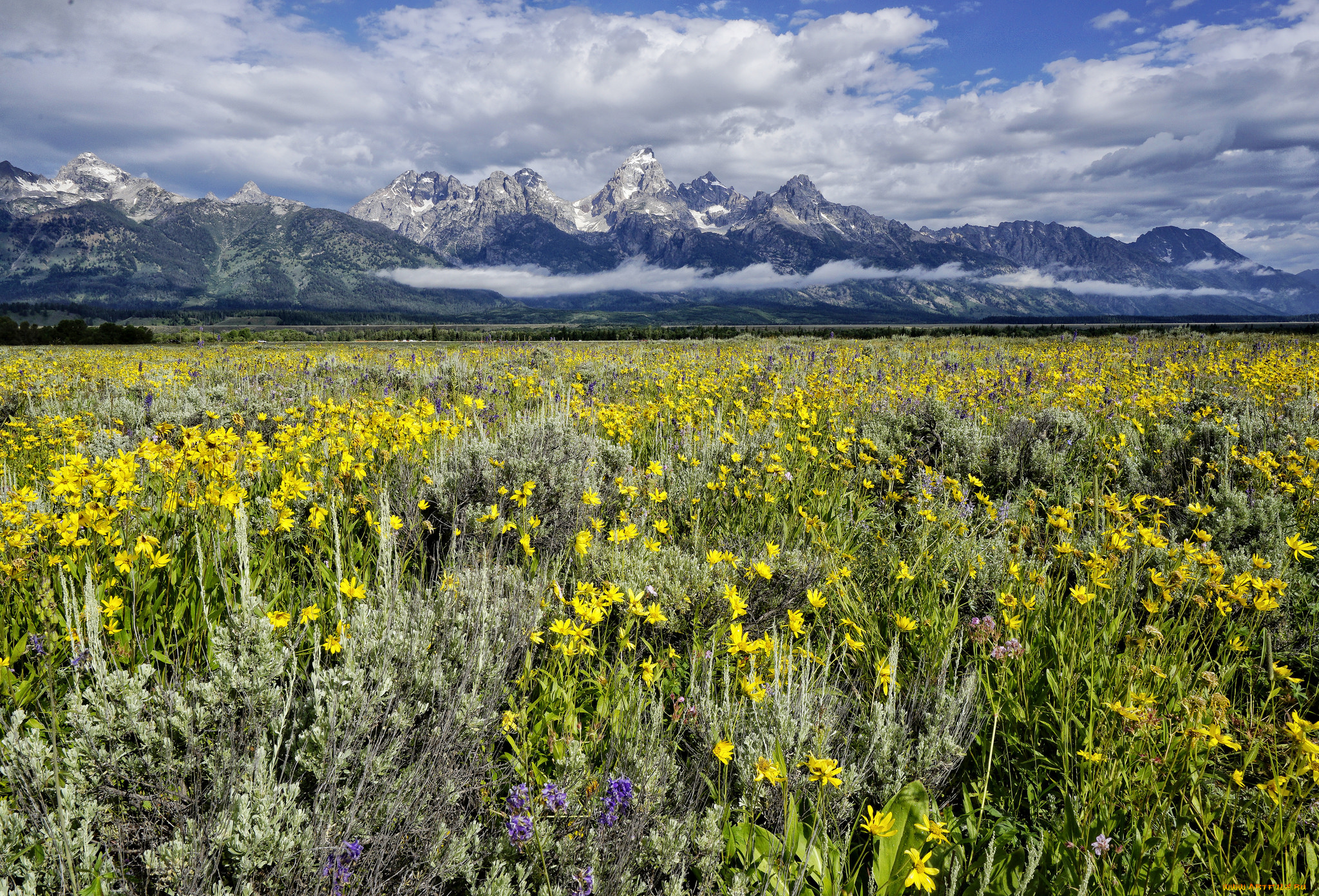 природа, луга, равнина, горы