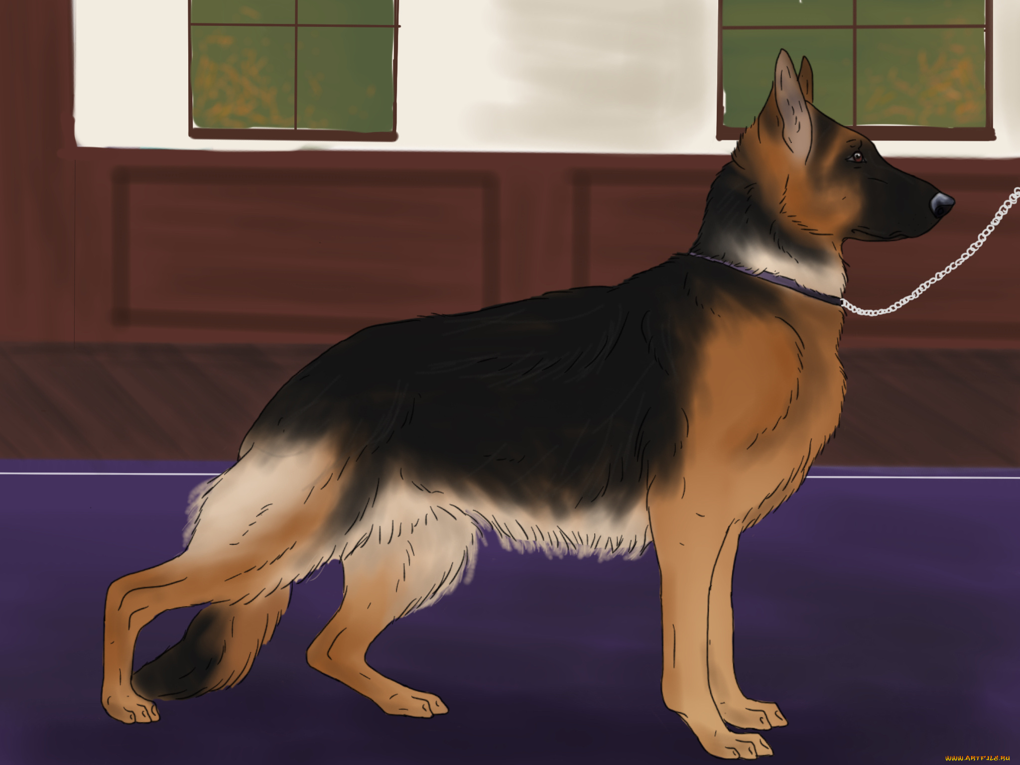 рисованное, животные, , собаки, фон, взгляд, собака