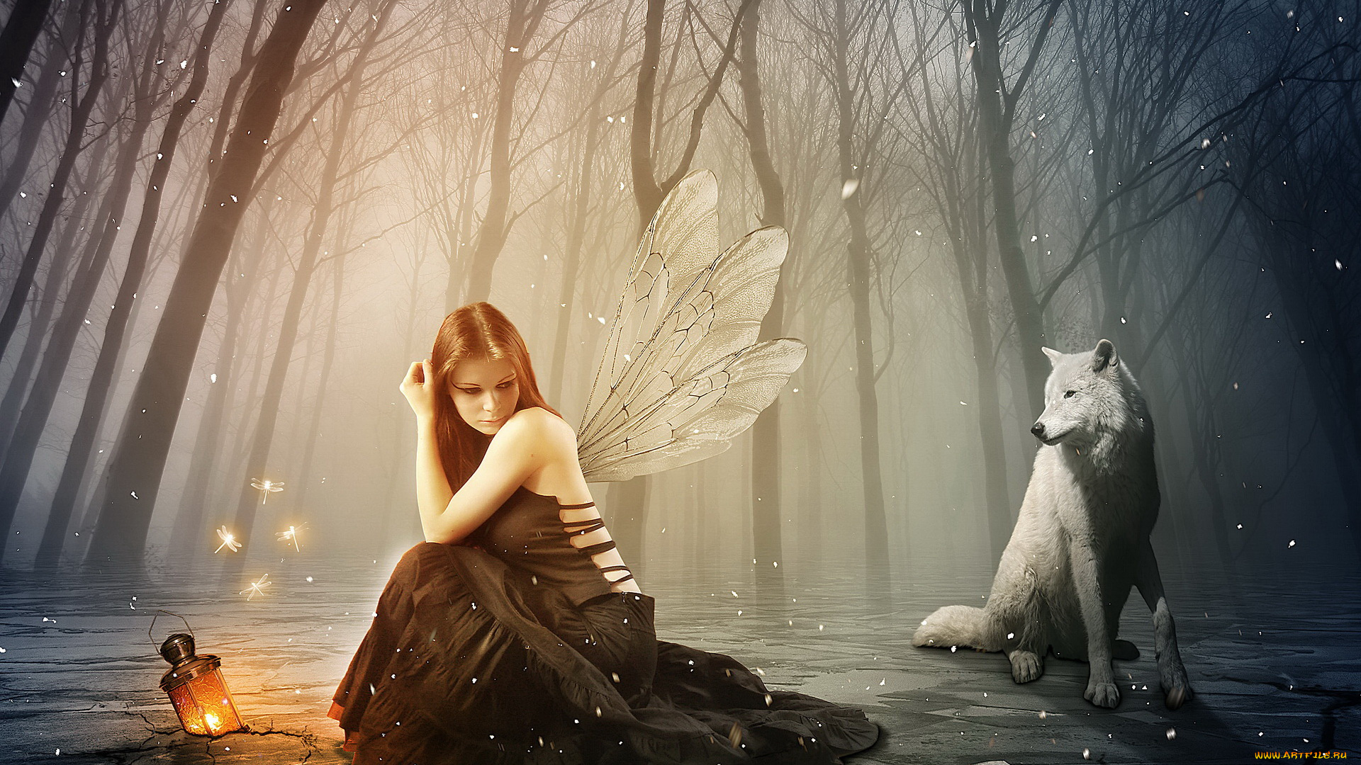 фэнтези, фотоарт, девушка, фон, взгляд, лес, волк