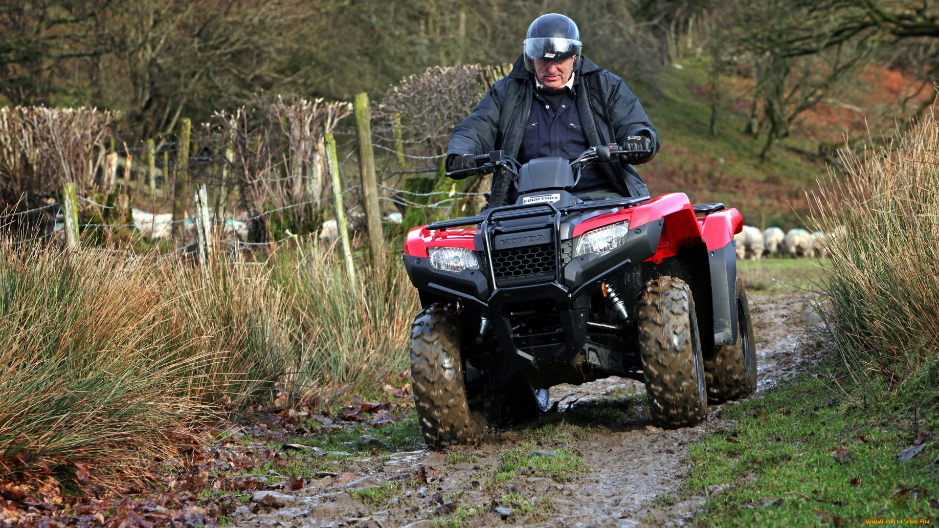 мотоциклы, квадроциклы, honda
