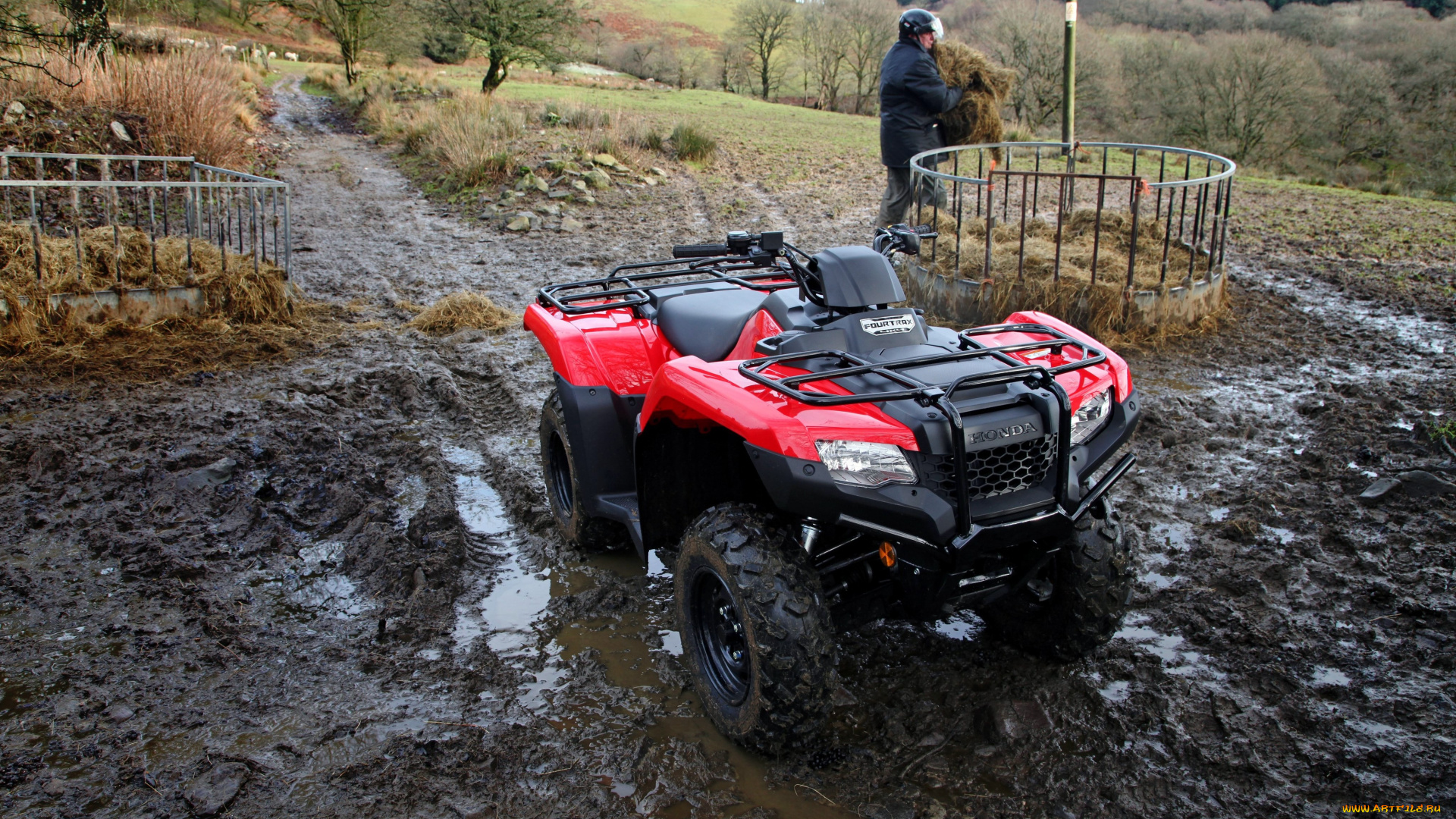мотоциклы, квадроциклы, honda