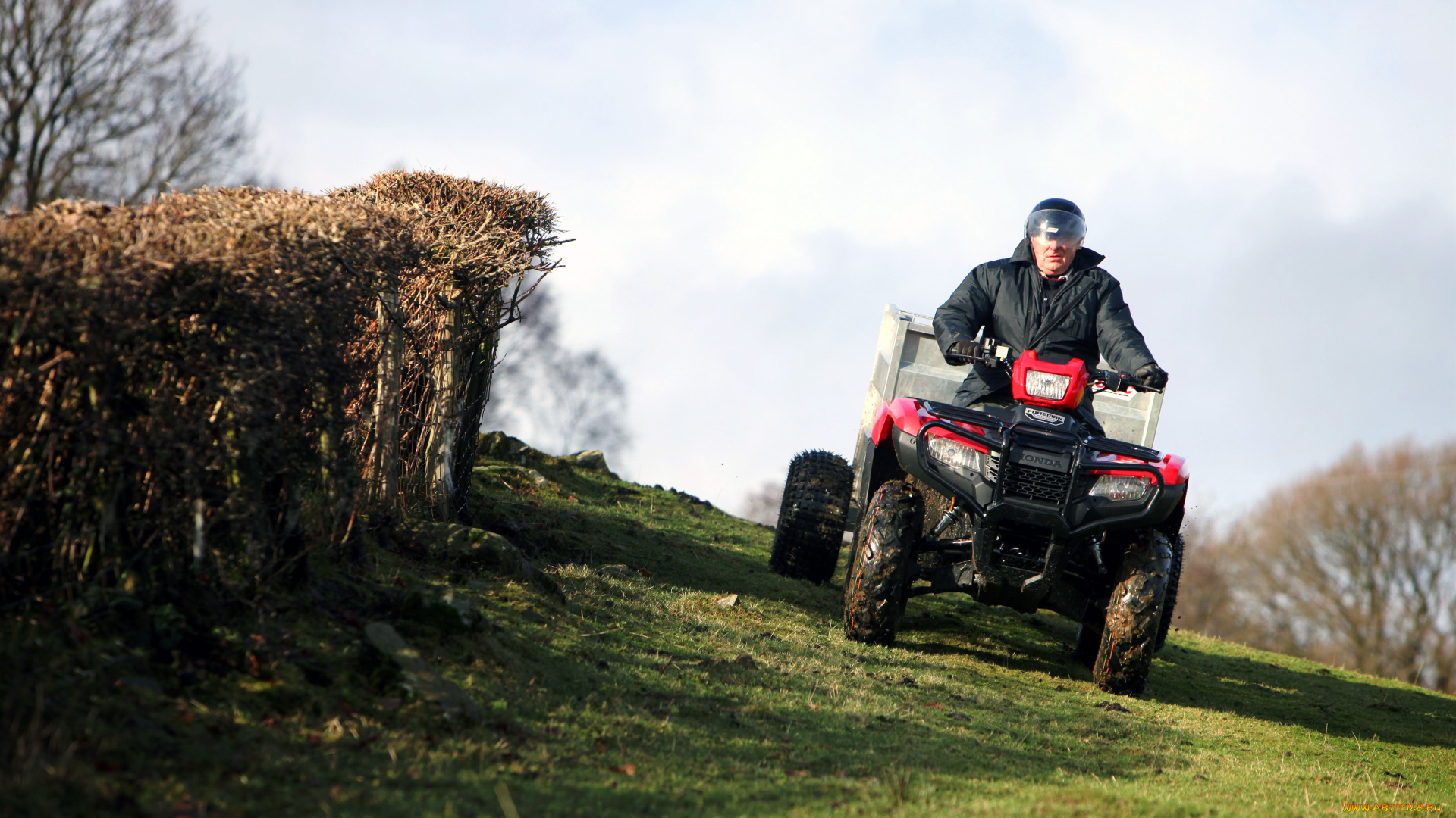 мотоциклы, квадроциклы, honda