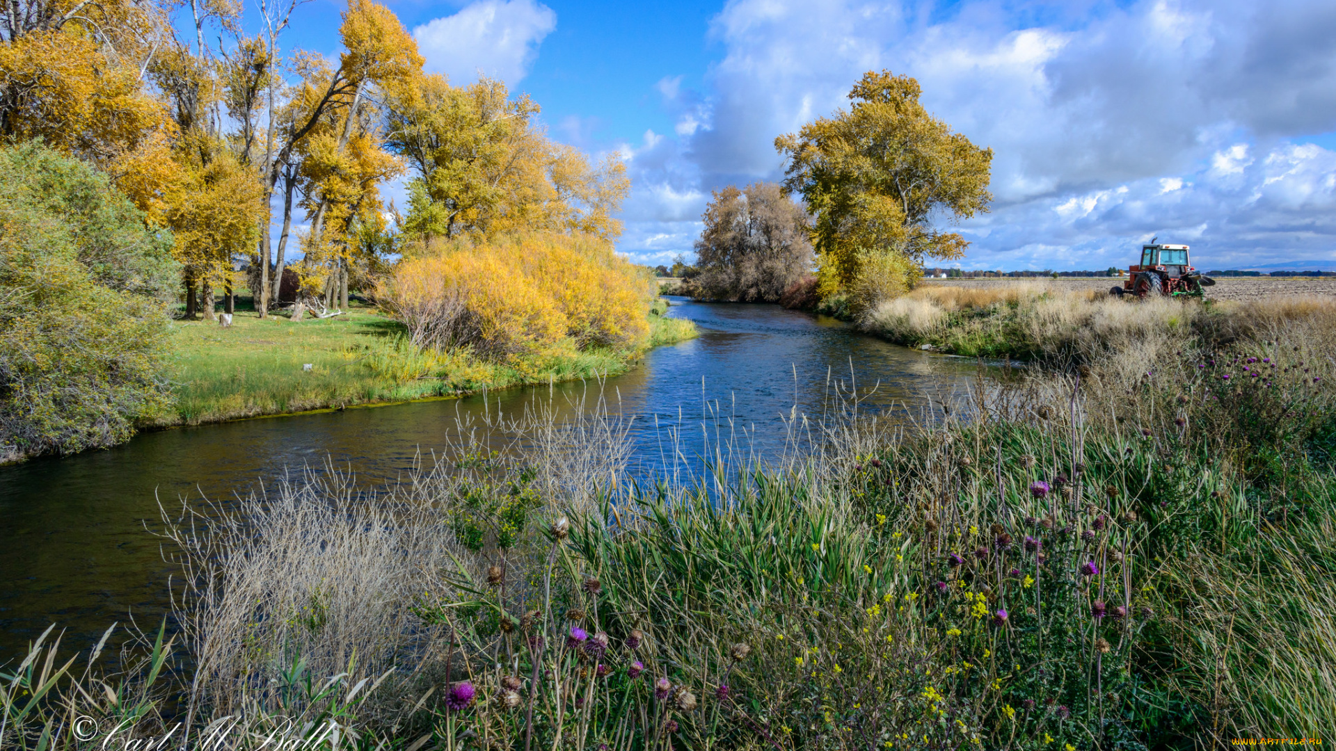 природа, реки, озера, лес, река