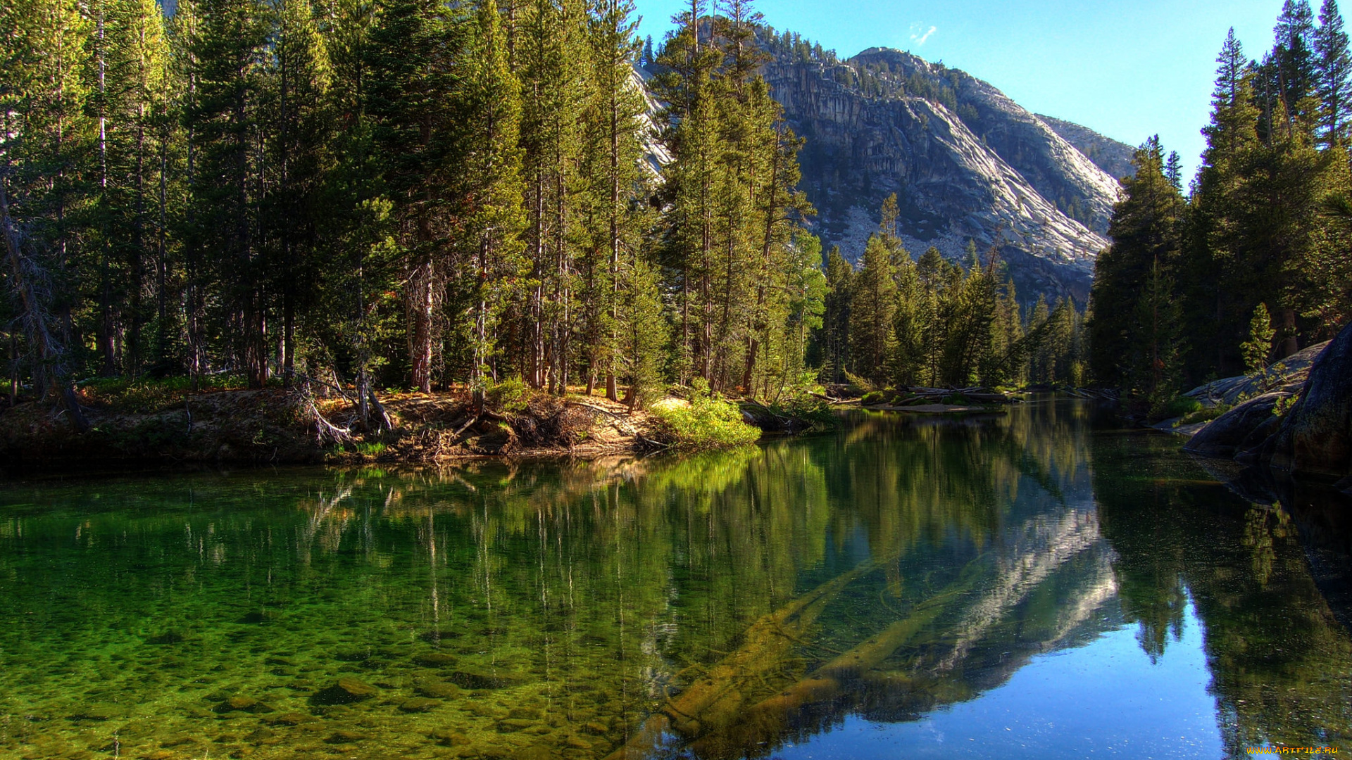 природа, реки, озера, река, лес