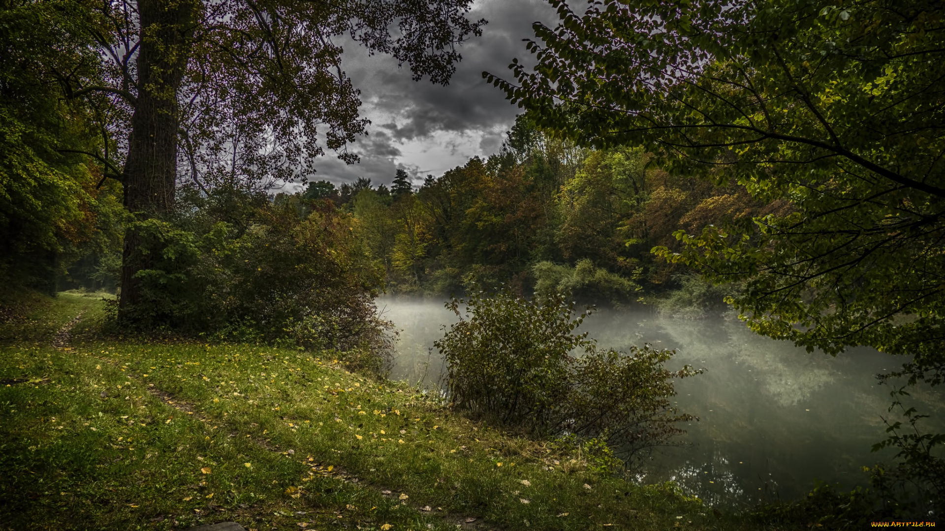 природа, реки, озера, река, лес