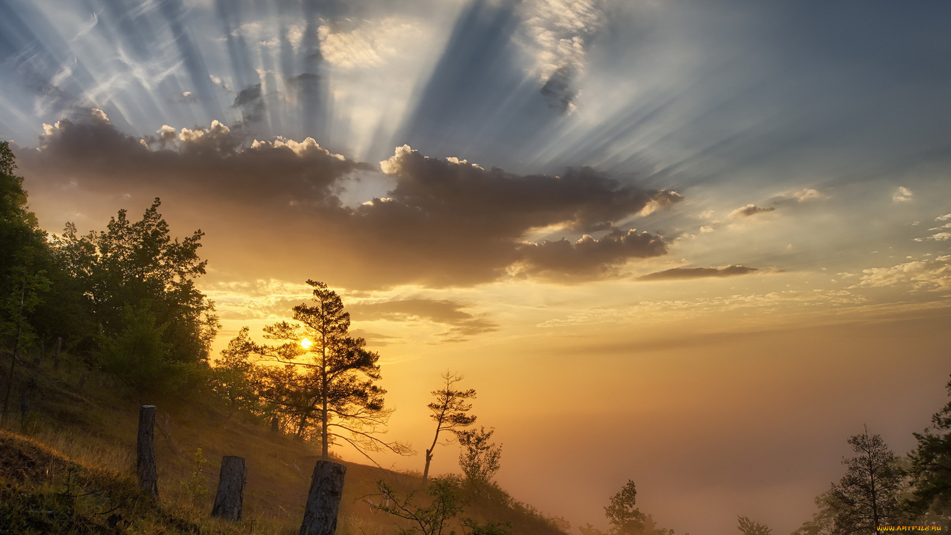 природа, восходы, закаты, свет, утро, туман