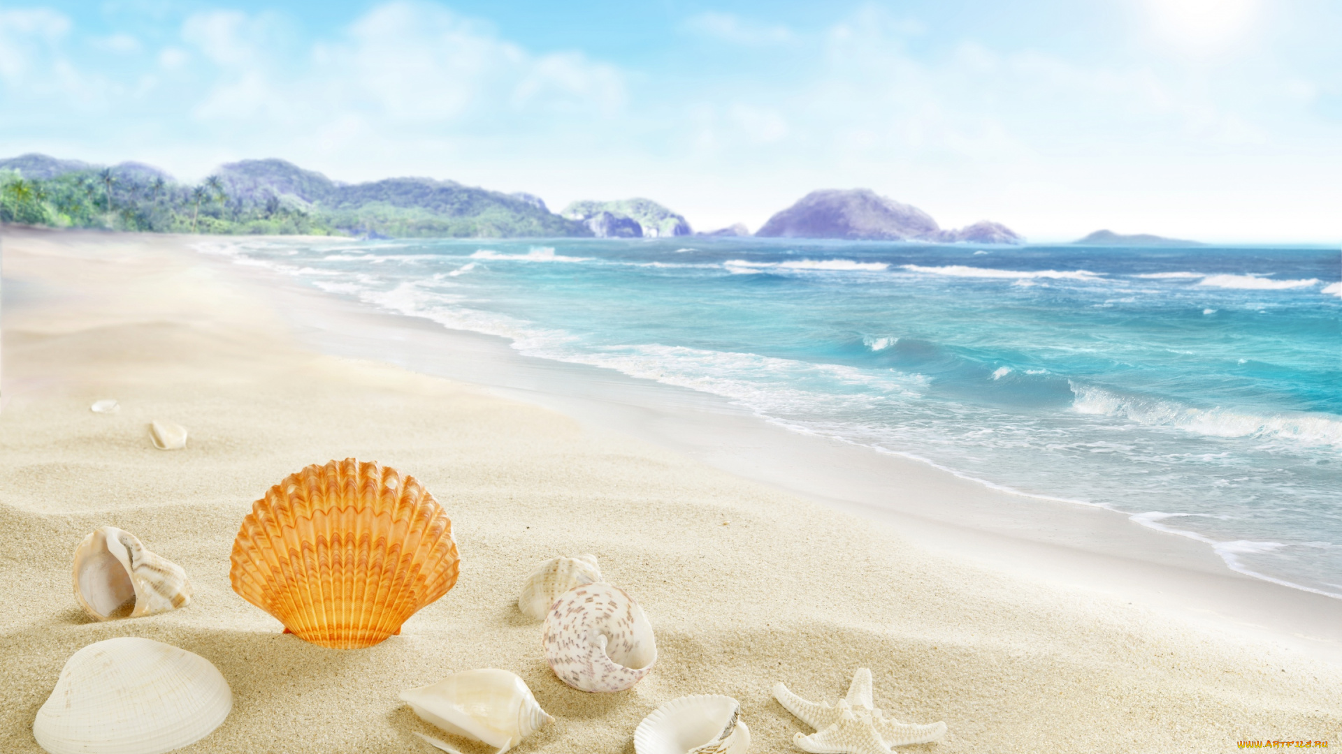 разное, ракушки, , кораллы, , декоративные, и, spa-камни, sea, seashells, beach, sand