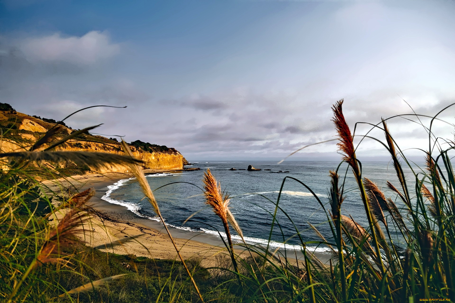 природа, побережье, трава, море, скалы