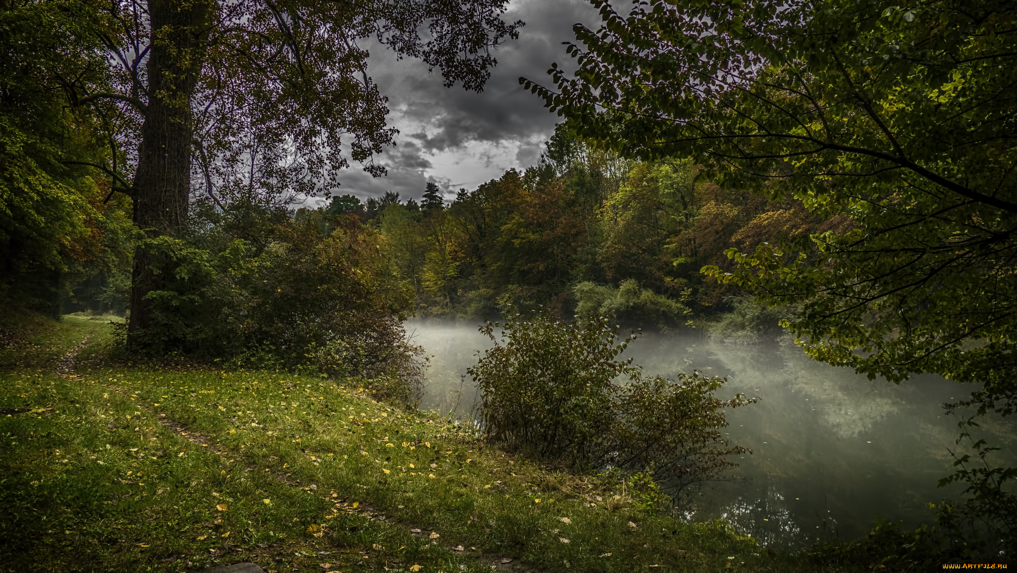 природа, реки, озера, река, лес