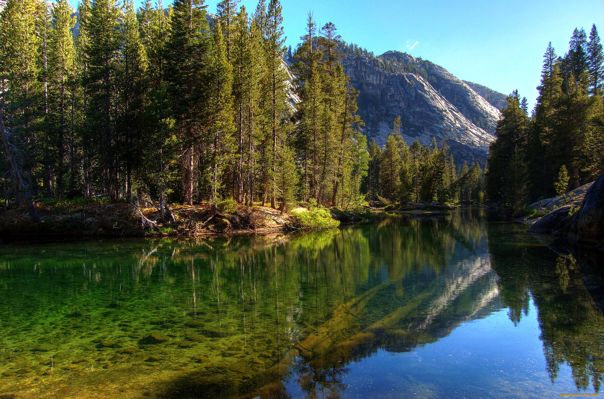 природа, реки, озера, река, лес