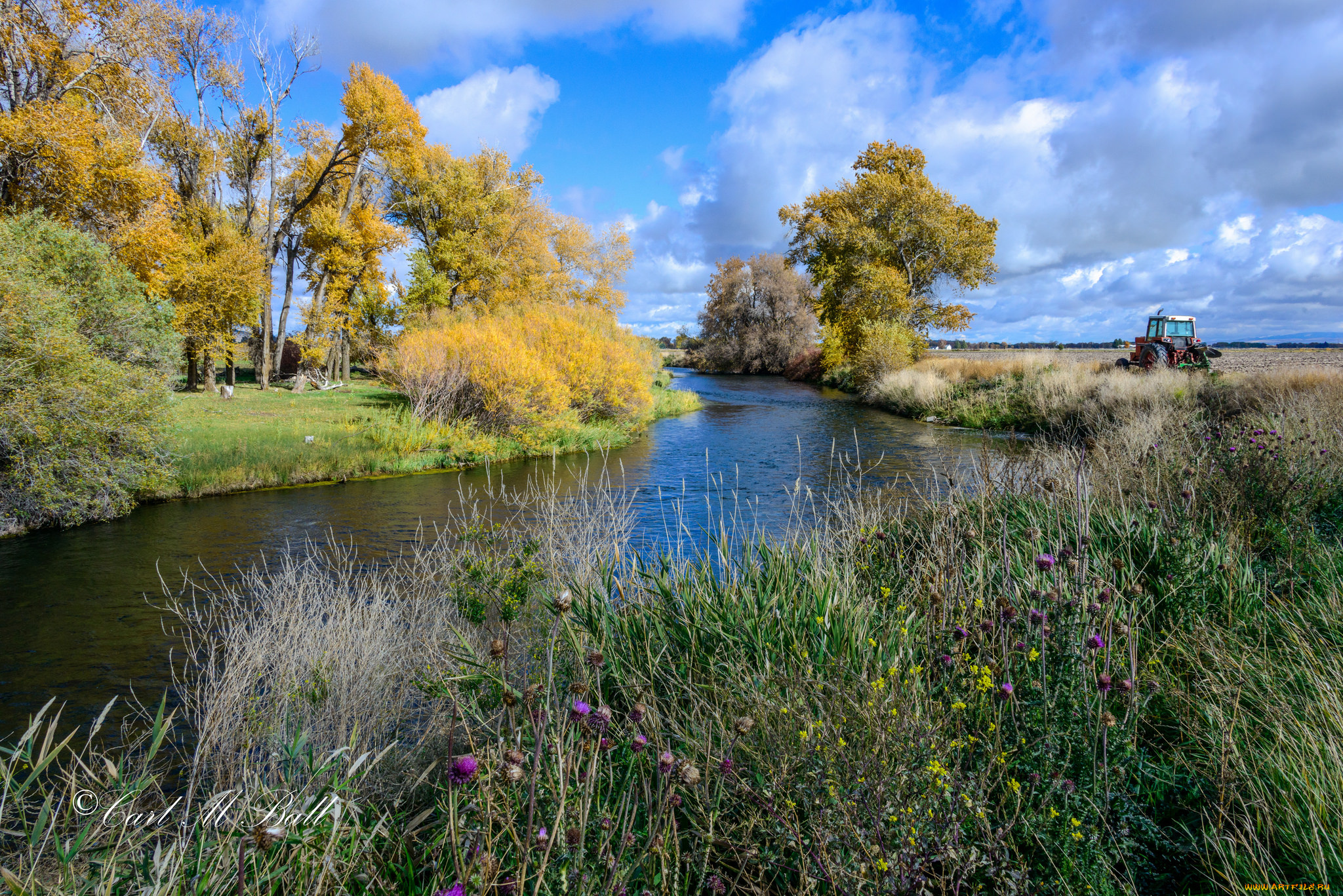 природа, реки, озера, лес, река