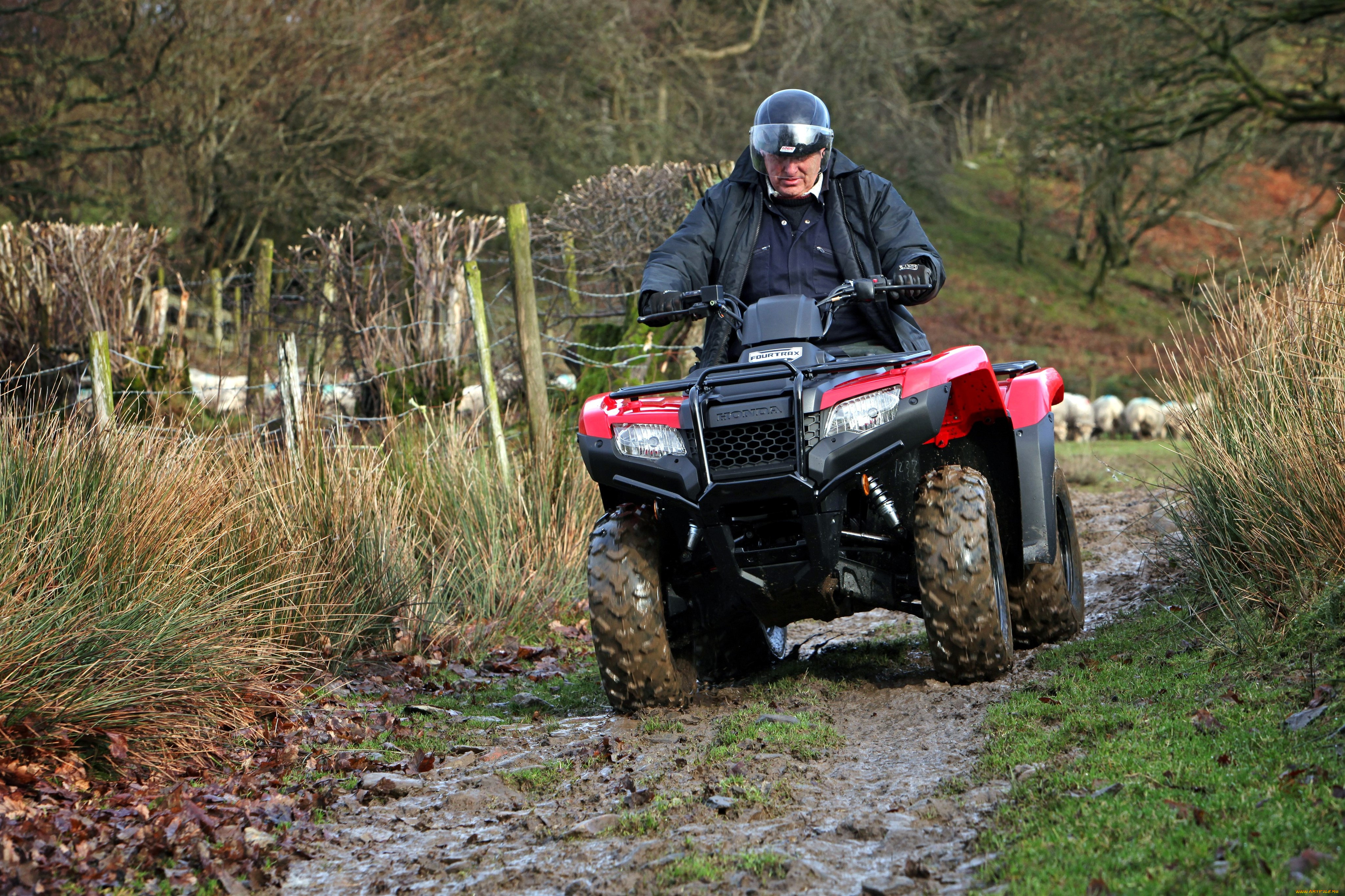 мотоциклы, квадроциклы, honda
