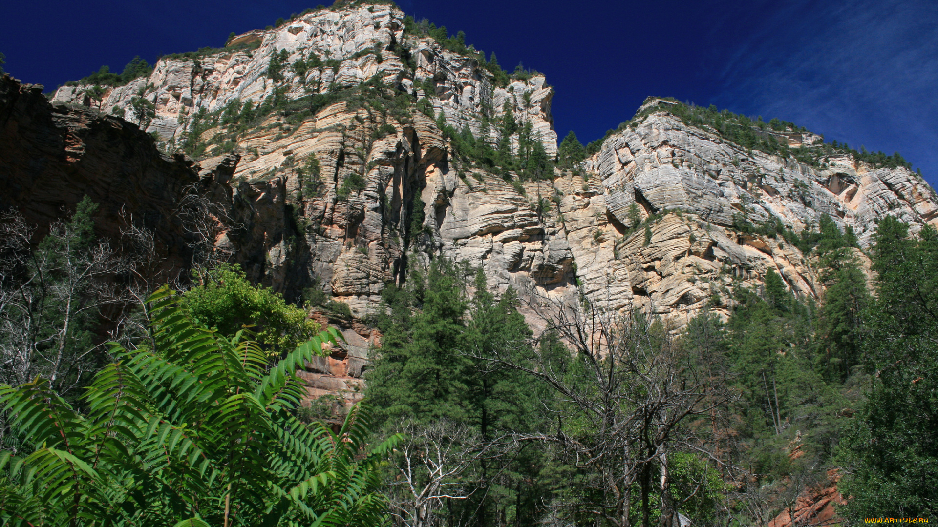 природа, горы, простор