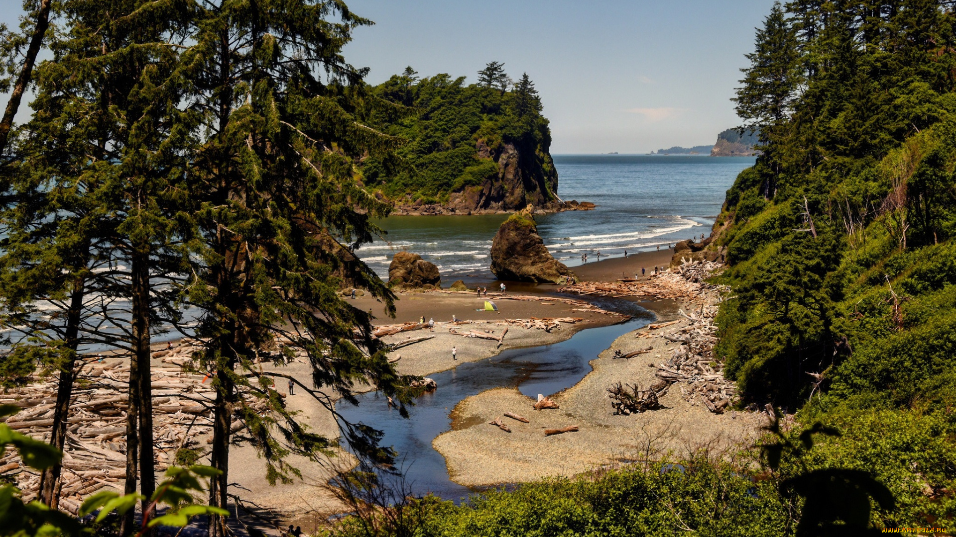 природа, побережье, простор