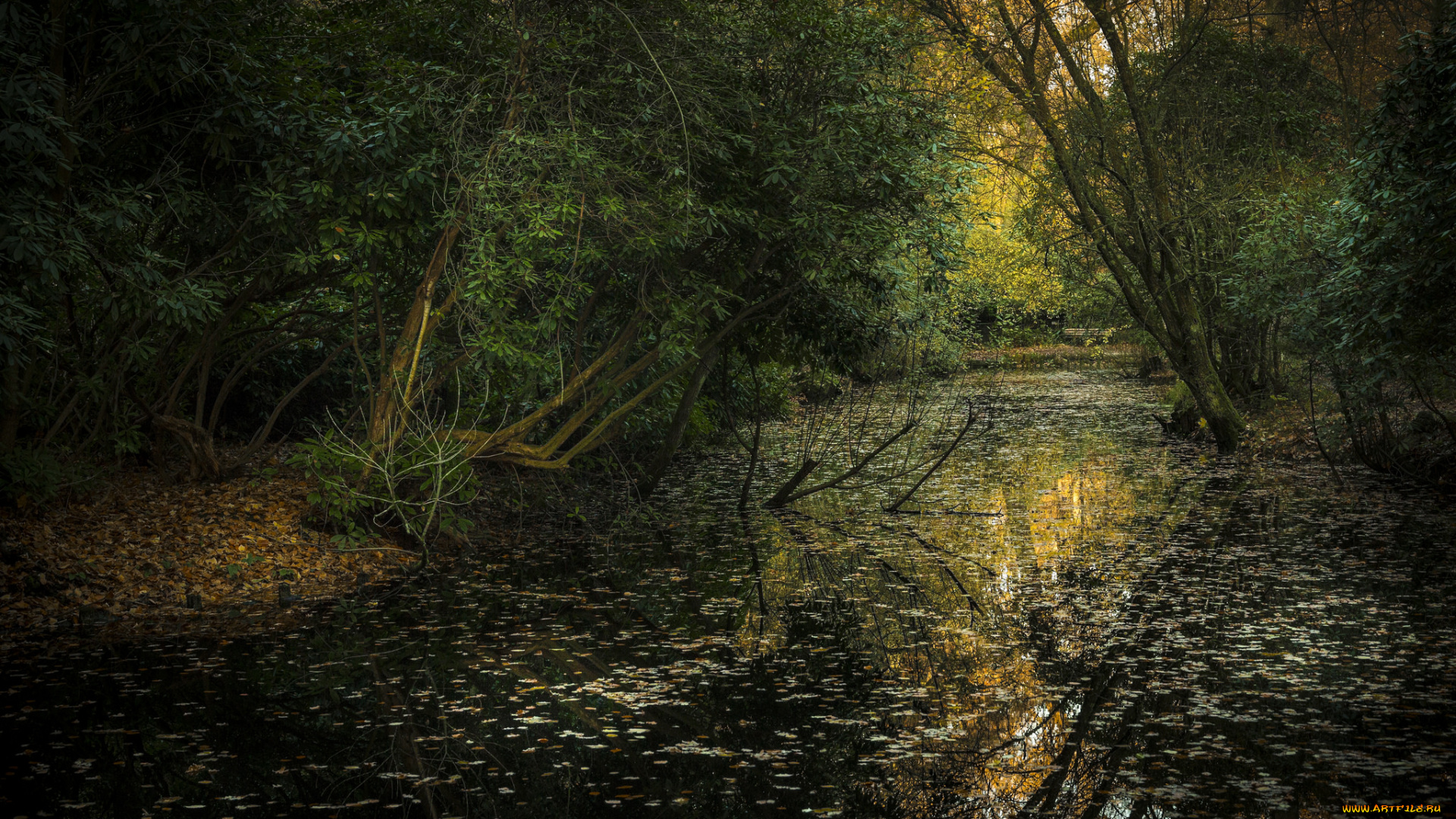 природа, реки, озера, простор