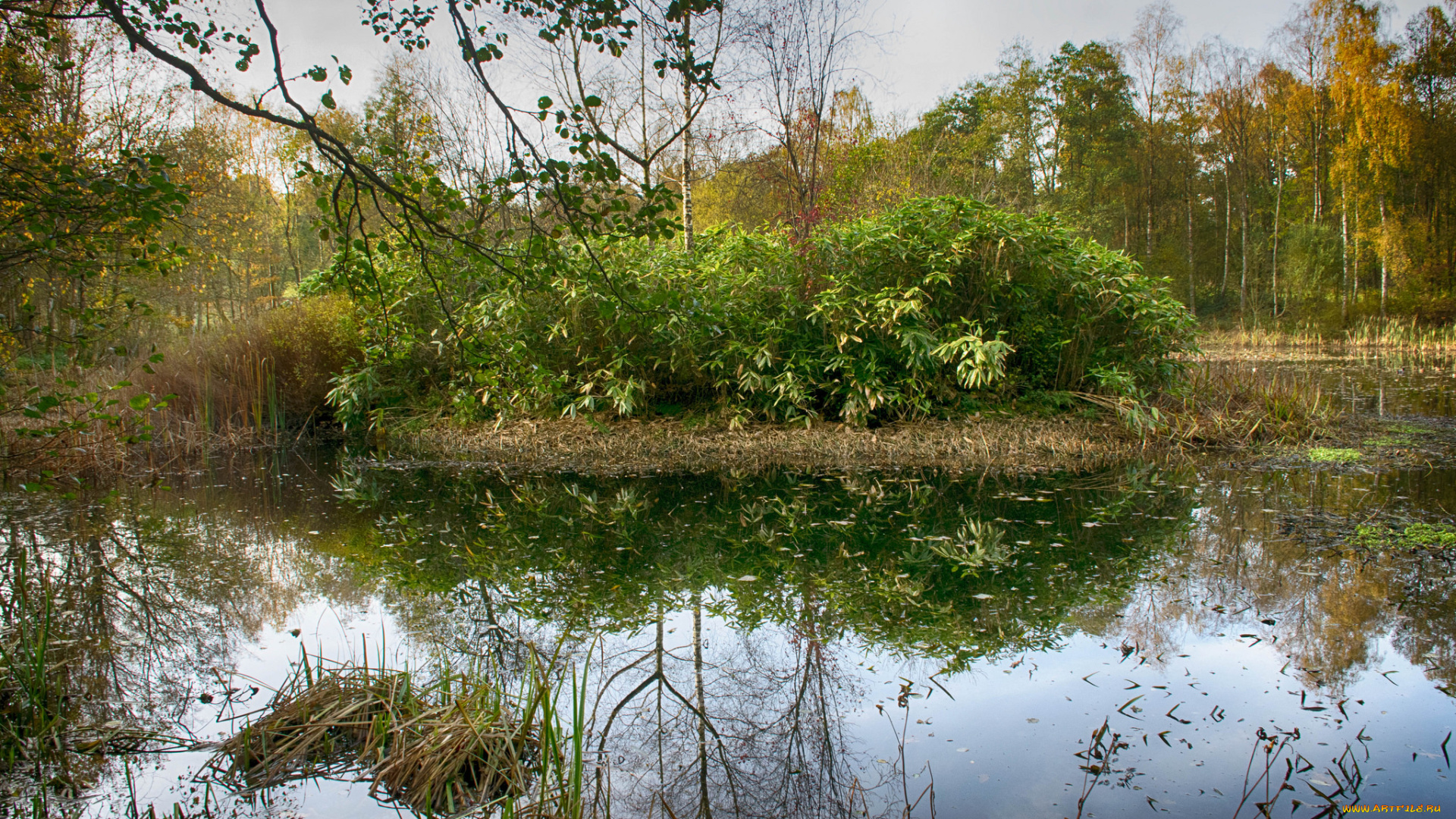 природа, реки, озера, простор