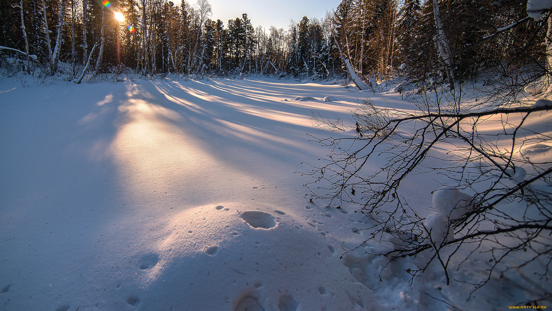 природа, зима, простор