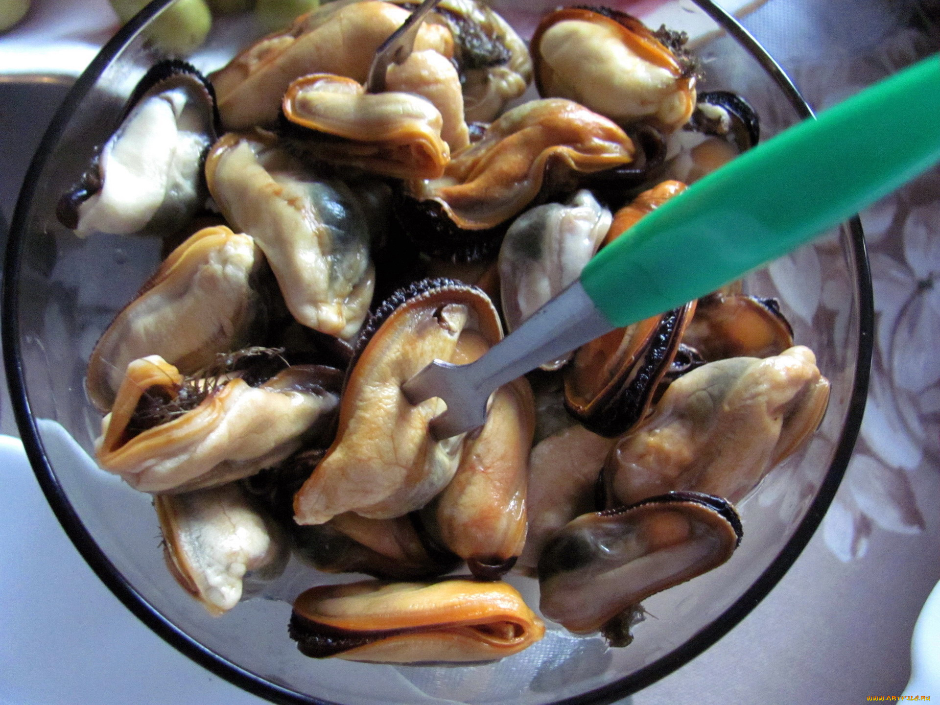 еда, рыба, , морепродукты, , суши, , роллы, мидии