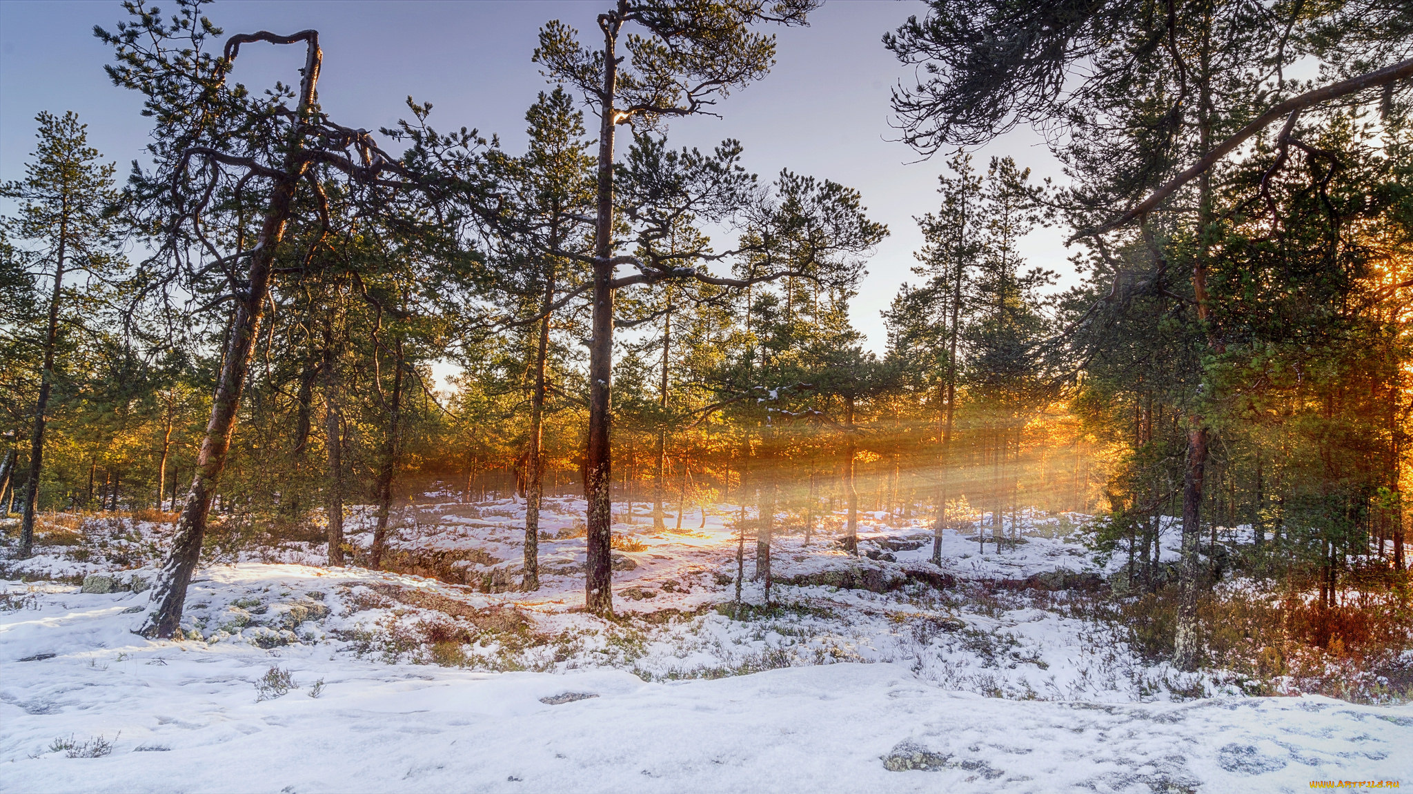 природа, зима, простор