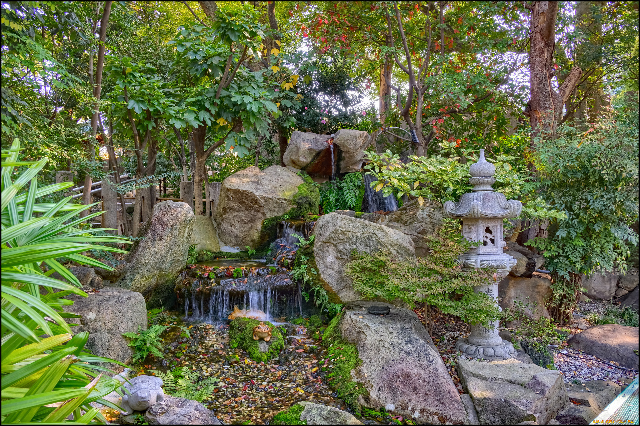 природа, парк, простор