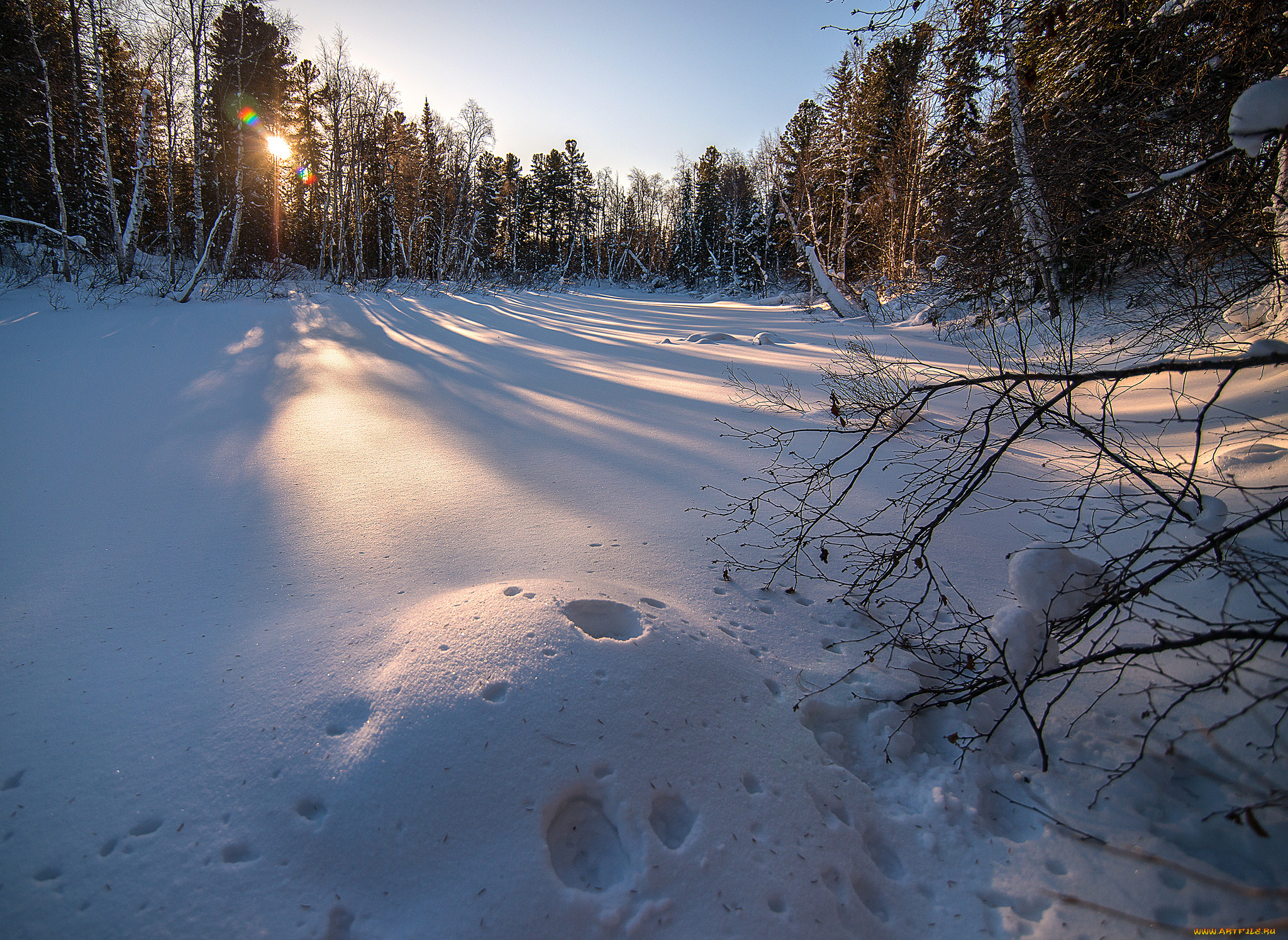 природа, зима, простор