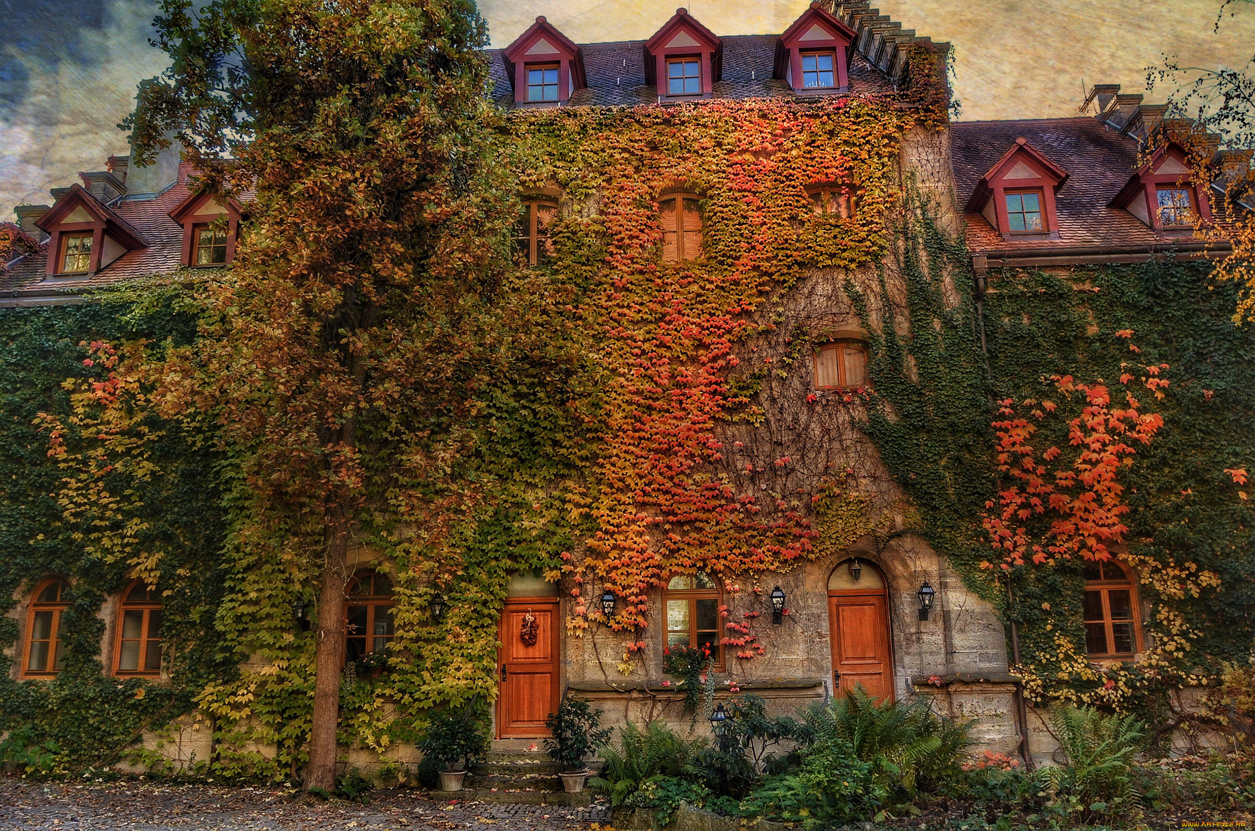 города, -, здания, , дома, дом, дерево, плющ