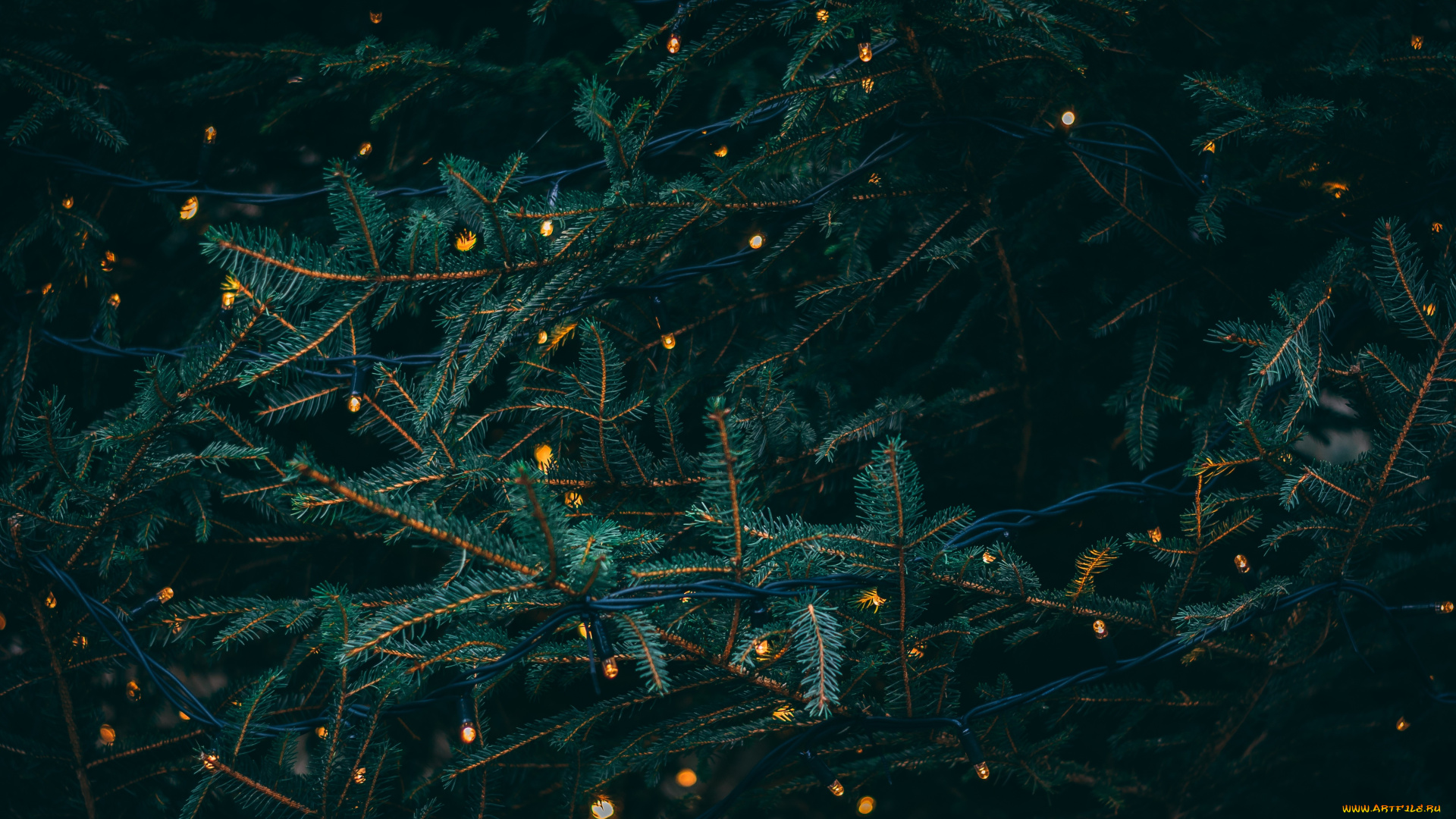 календари, праздники, , салюты, елка, гирлянда, ветка