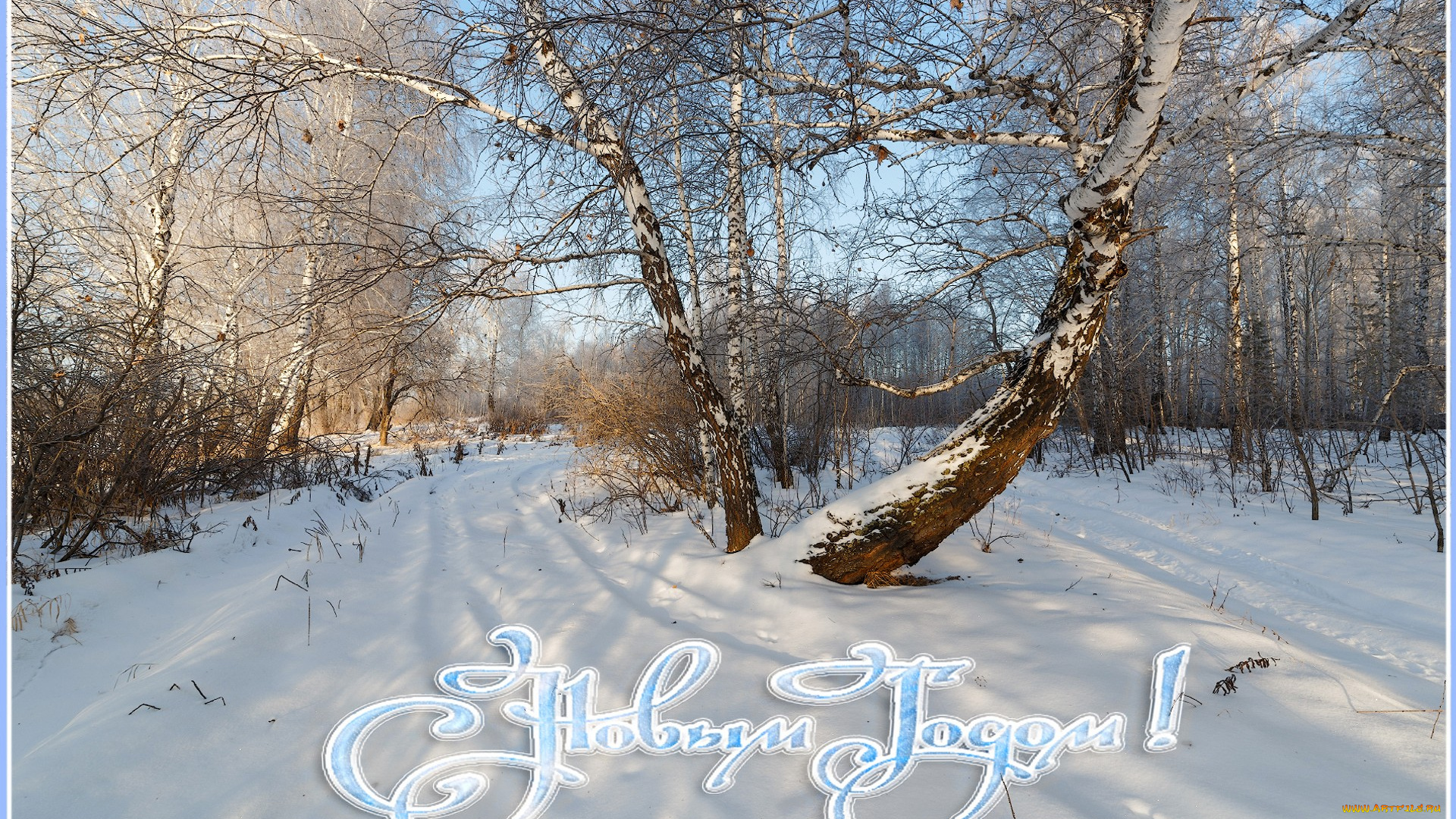 праздничные, новогодние, пейзажи, зима