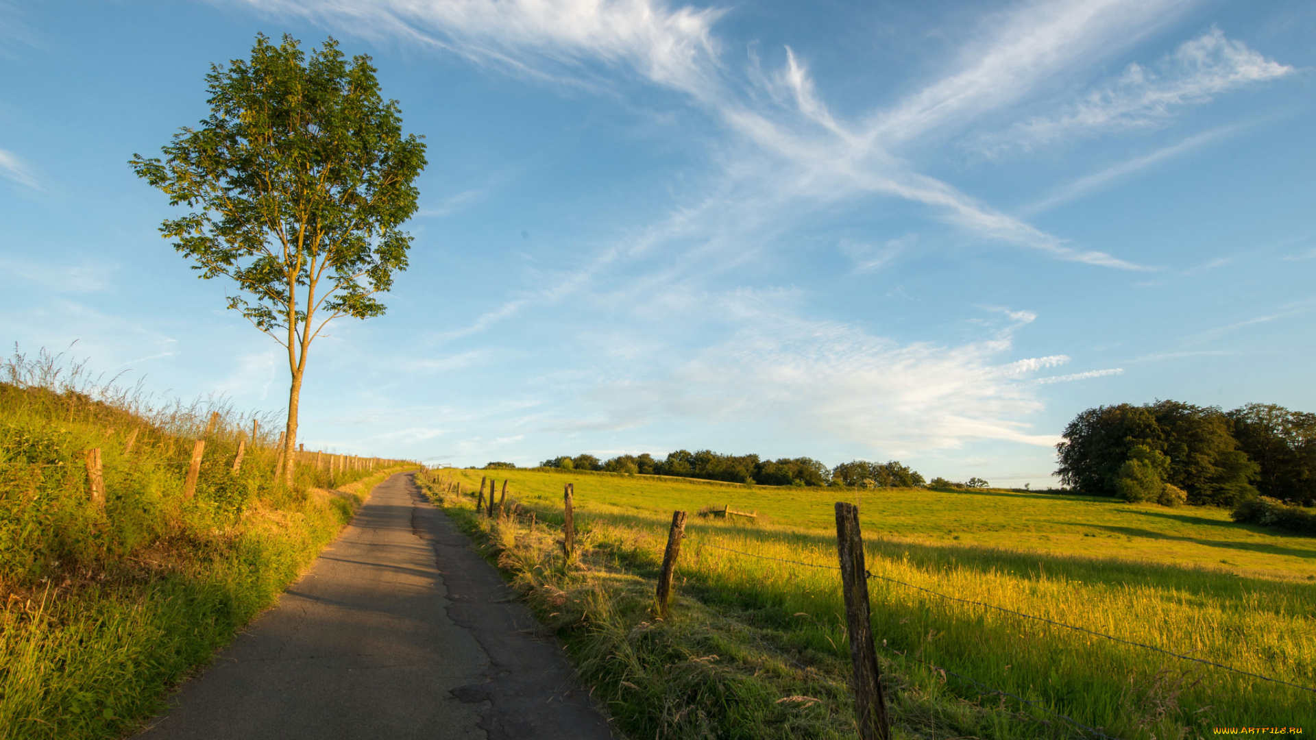 природа, дороги, простор