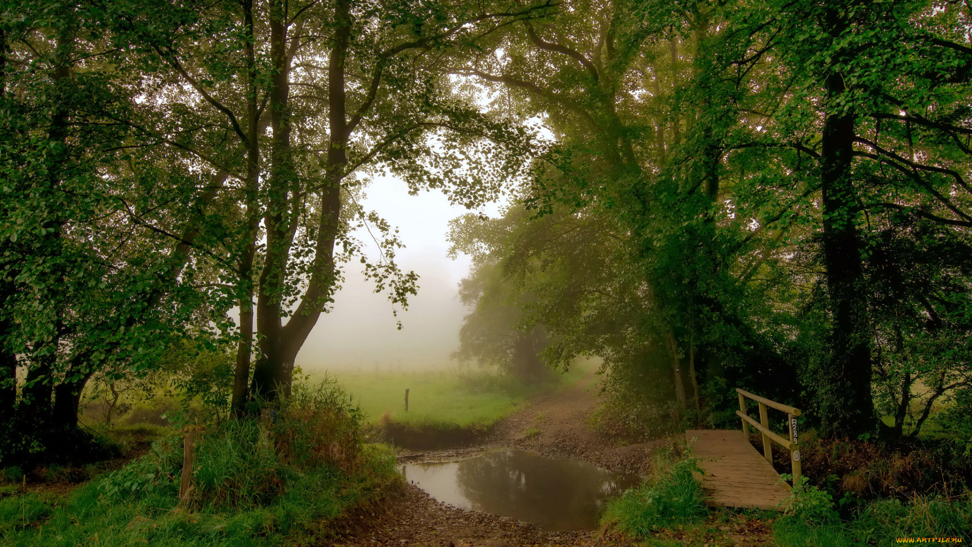 природа, дороги, простор