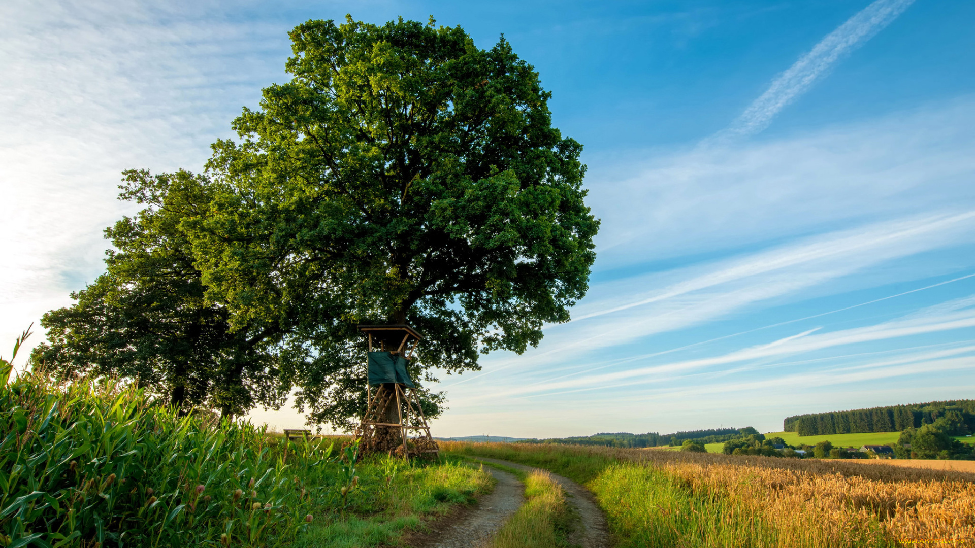 природа, дороги, простор
