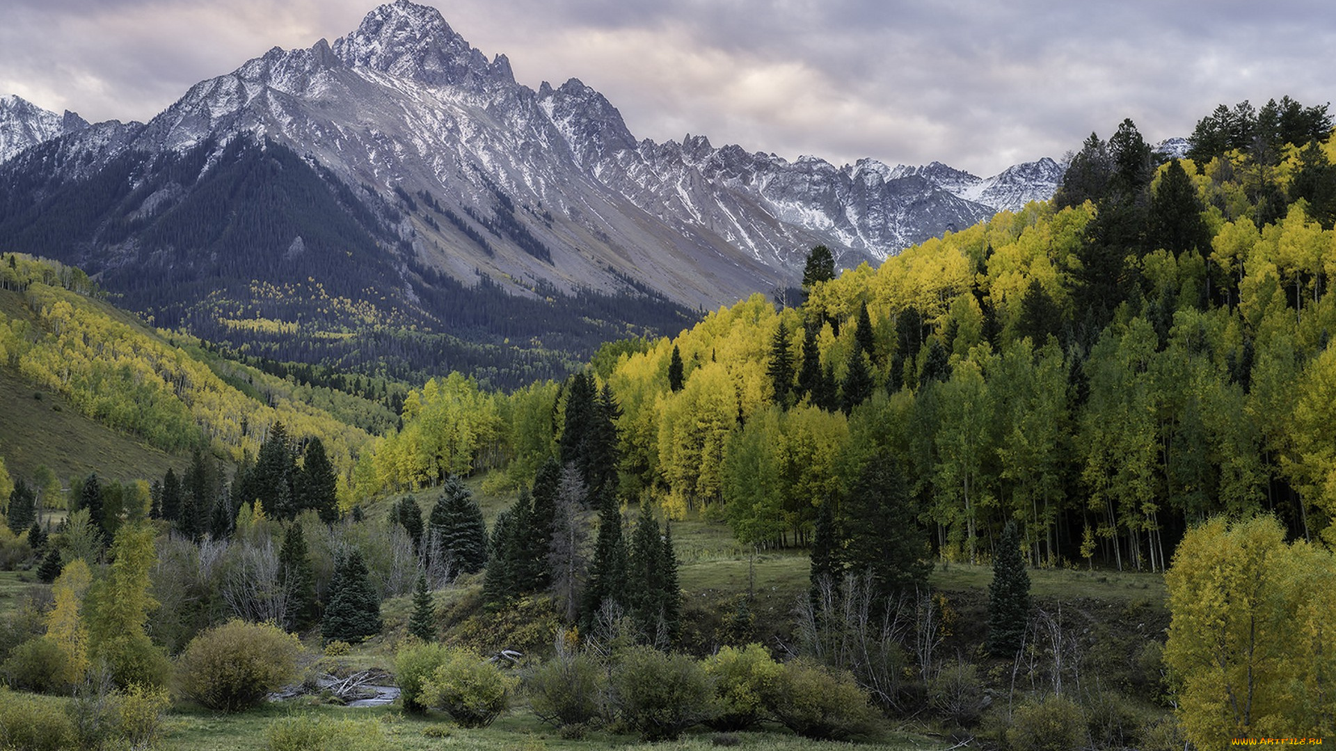 природа, горы, простор