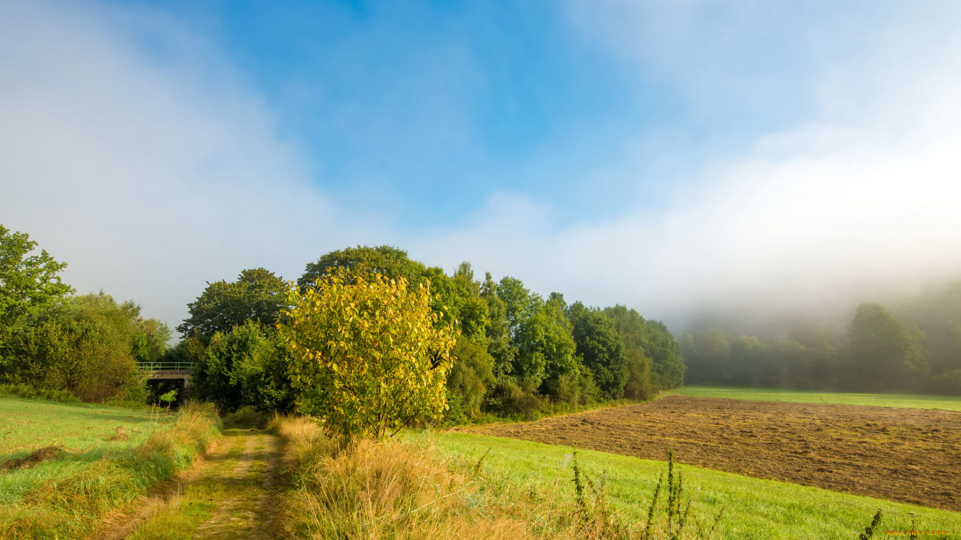 природа, пейзажи, простор