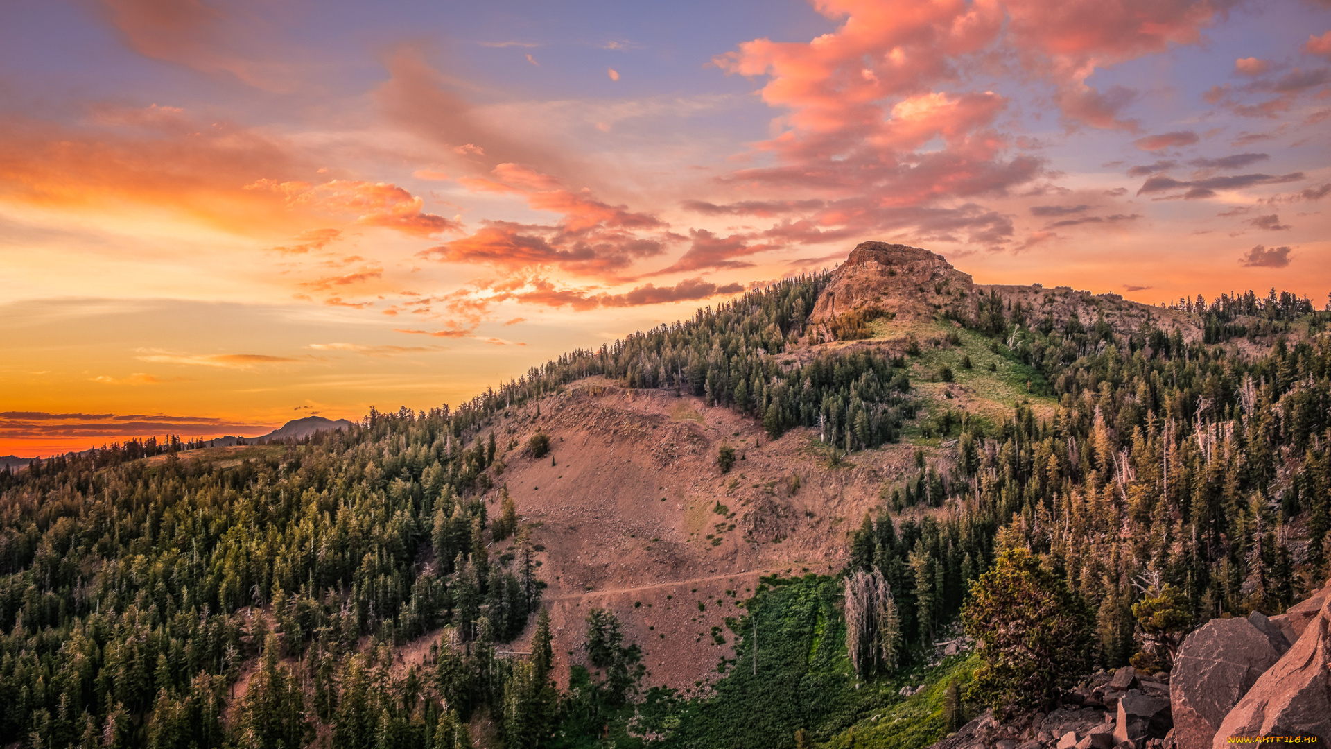 природа, пейзажи, простор
