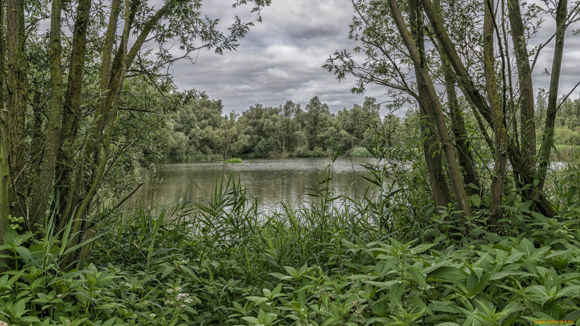 природа, реки, озера, простор