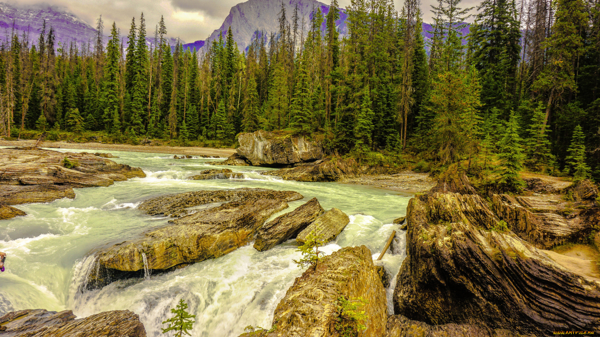 природа, реки, озера, простор