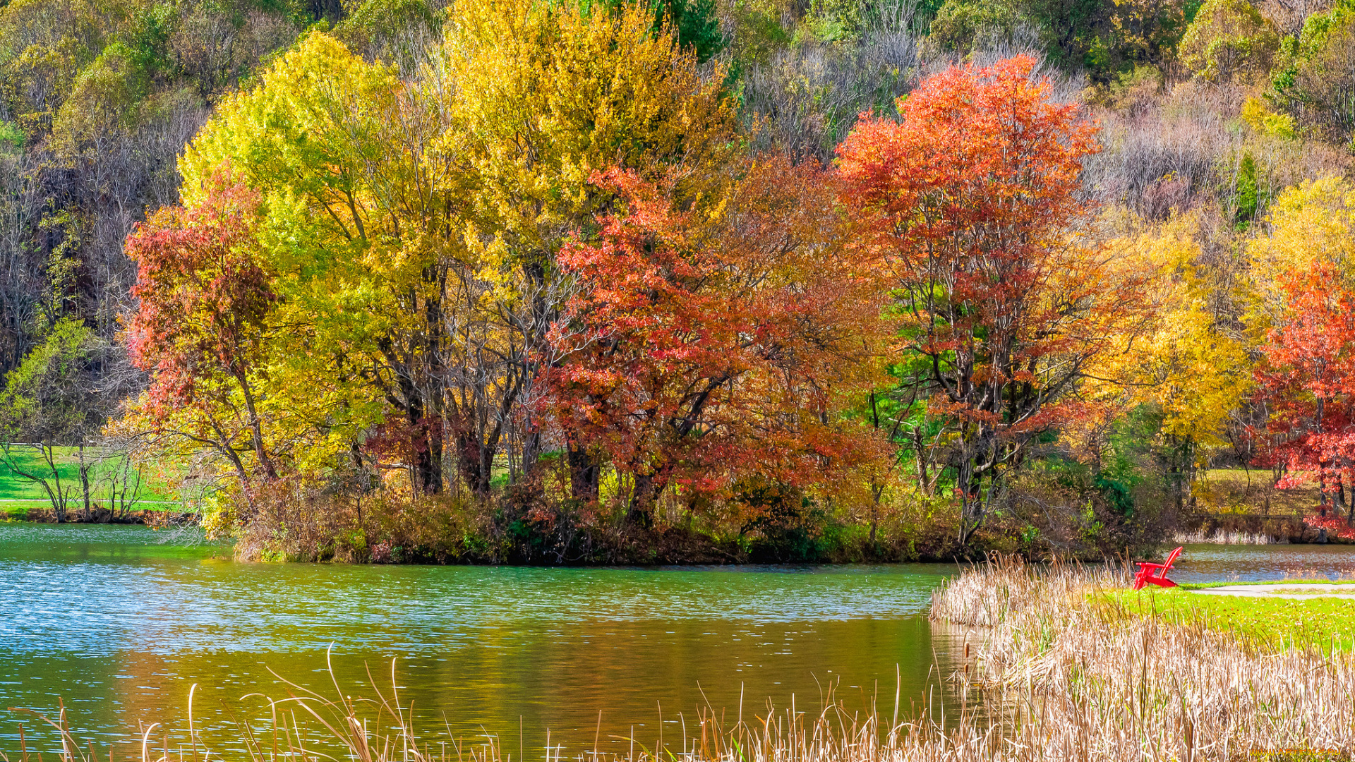 природа, реки, озера, простор
