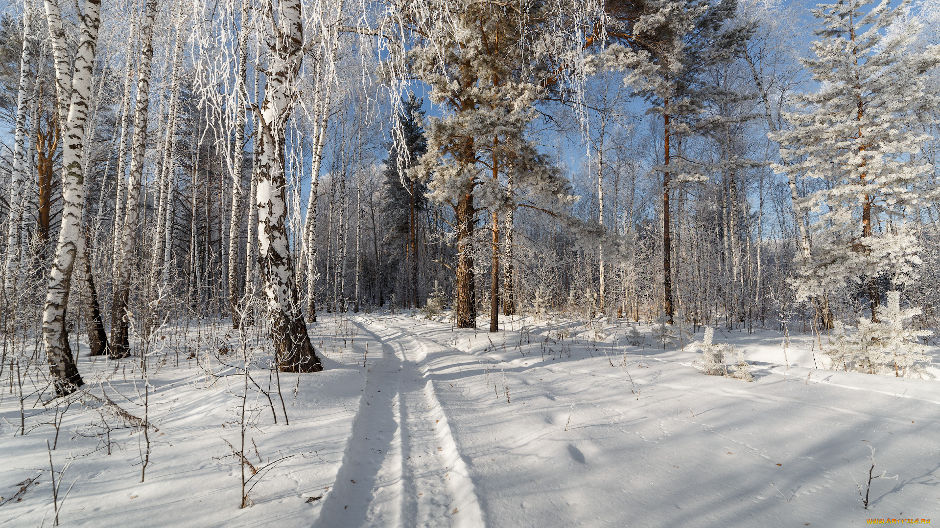 природа, зима, простор