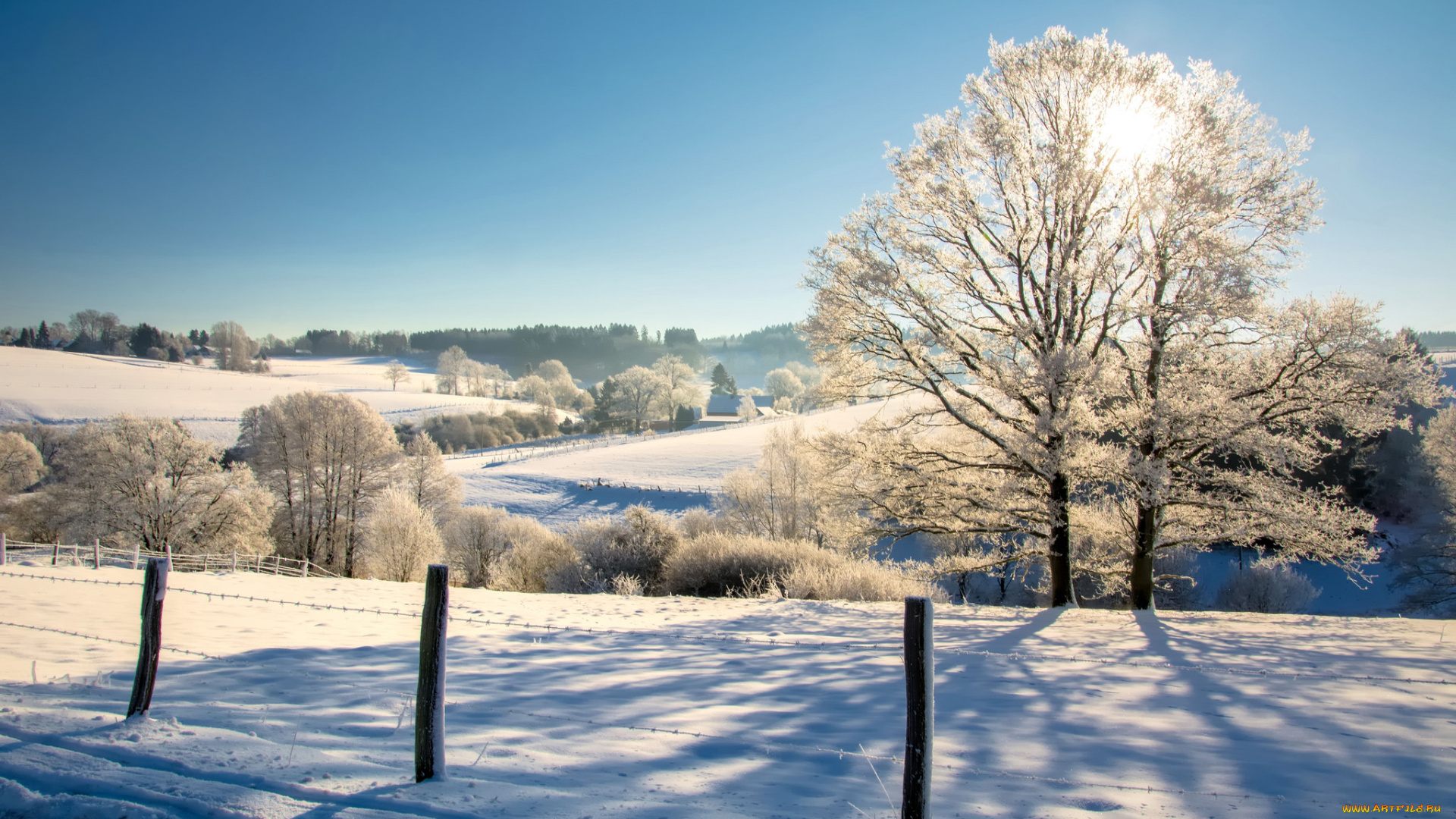 природа, зима, простор